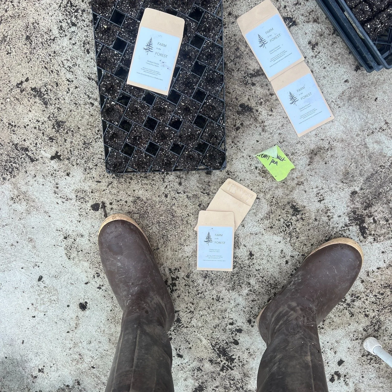 Our local farmers offer seeds grown on Whidbey, so you can grow food on your land using the same locally adapted seed stock as area farmers. It&rsquo;s a regenerative loop that strengthens our local food system from the ground up.

Soon enough, our t