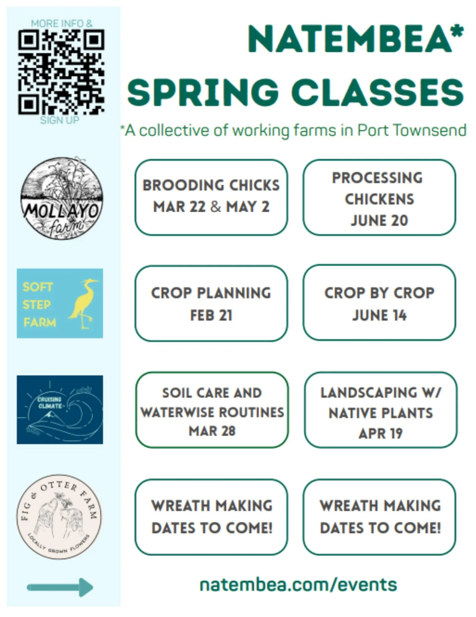 Soil Care Basics + Waterwise Routines