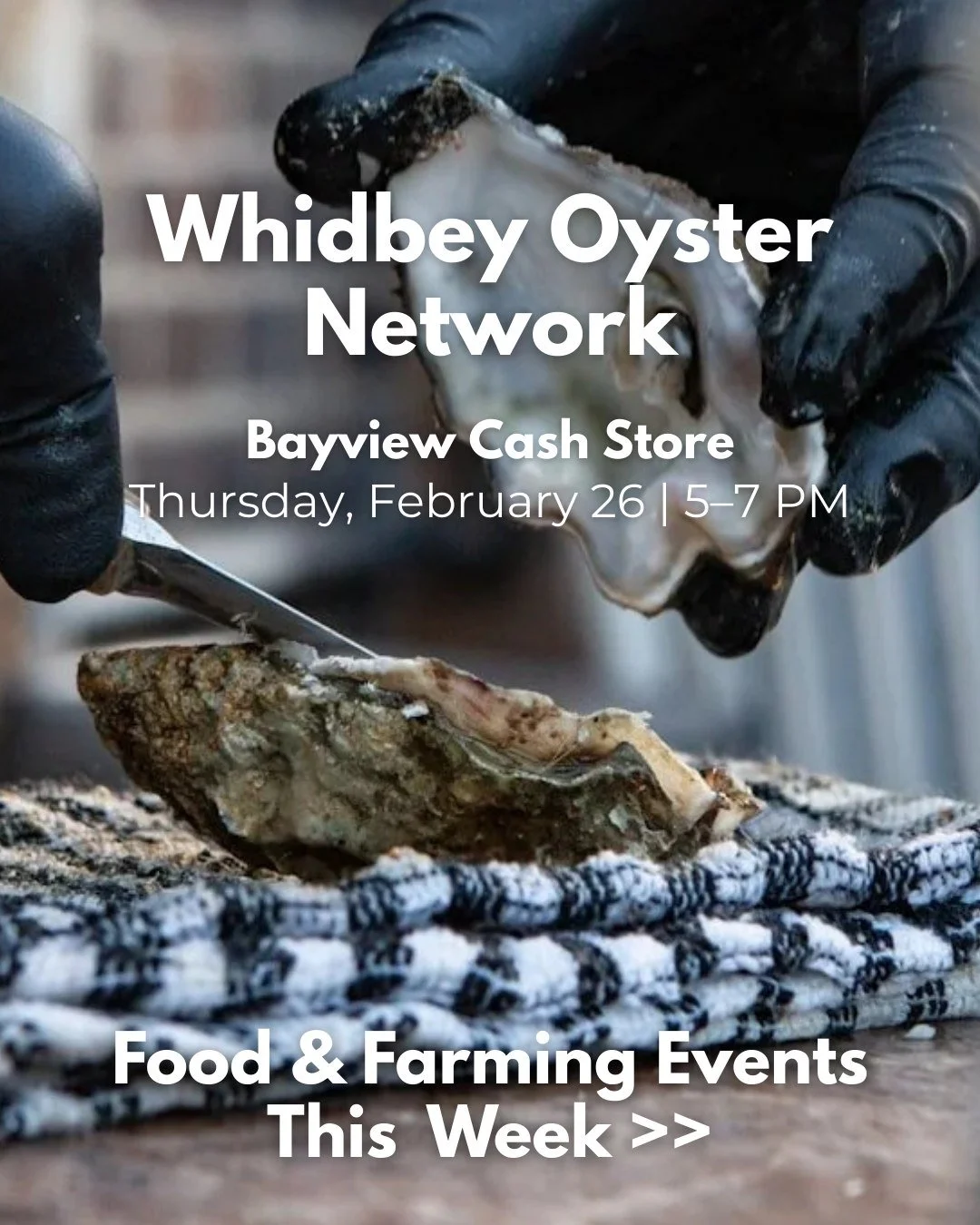 🌿 Happening around Whidbey this week&hellip;

Here are some wonderful opportunities to learn, connect, and get inspired within our local food and farming community this week:

🦪 Whidbey Oyster Network
Thursday, February 26 | 5&ndash;7 PM
Bayview Ca