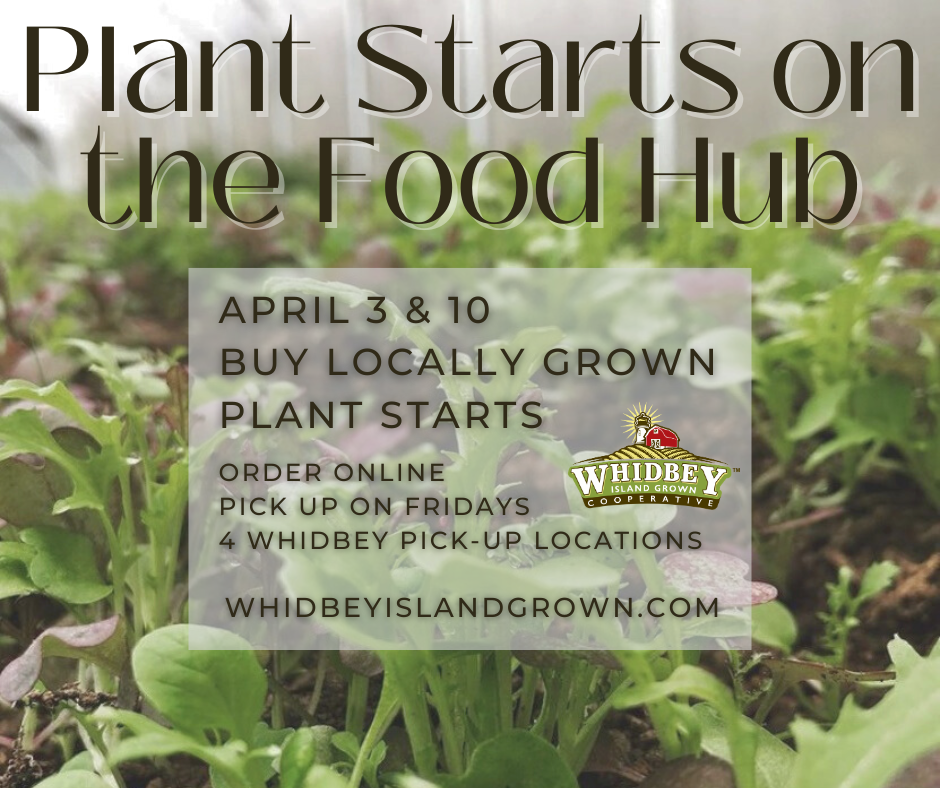 Hot Weather Plant Starts Sale Pickup - Food Hub