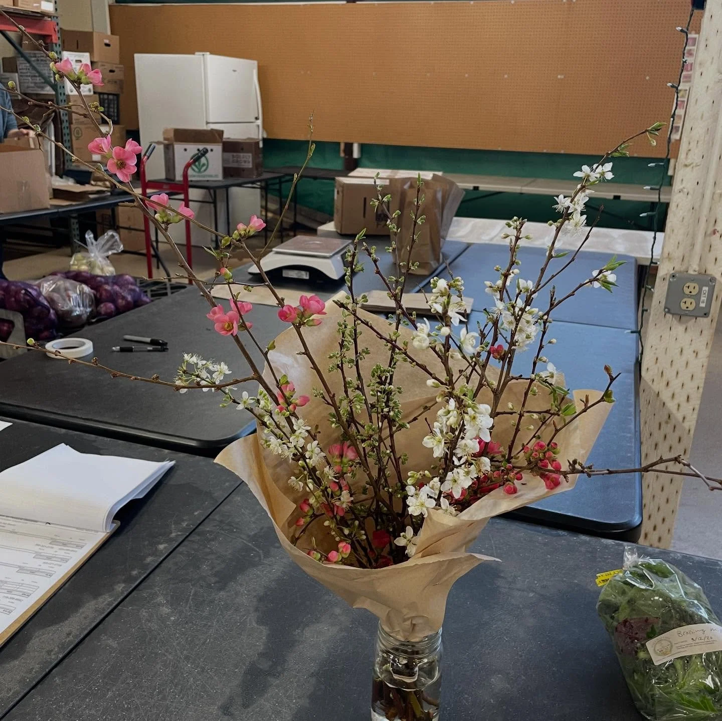 Spring is just around the corner! Our Food Hub farmers have fresh flowering boughs, purple sprouting broccoli, mini lettuce heads, braising mix, and kale.
.
On the way out: winter squash, onions, potatoes, radicchio, winter radishes. Once they&rsquo;