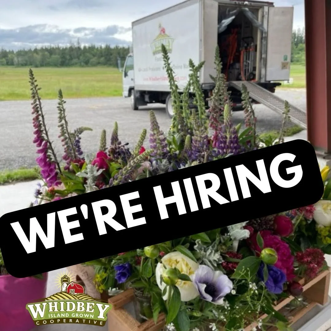 Join our team!
.
We&rsquo;re currently hiring a marketing and content creator, and will have more openings this spring, including seasonal drivers and warehouse staff for the main season.
.
Find our current job postings on our website whidbeyislandgr