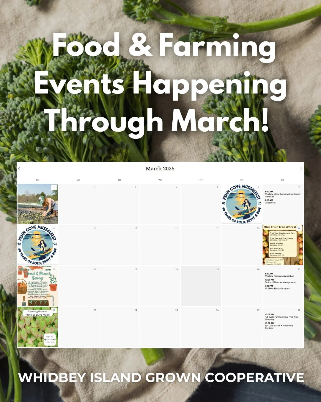 The Spring Equinox is tomorrow 🌱 and the Eat Local Event Calendar is filled with opportunities to learn, connect, and prepare your land for growth 🌞

Whether you're dreaming up your garden, tending soil, or planning your next season, there are some
