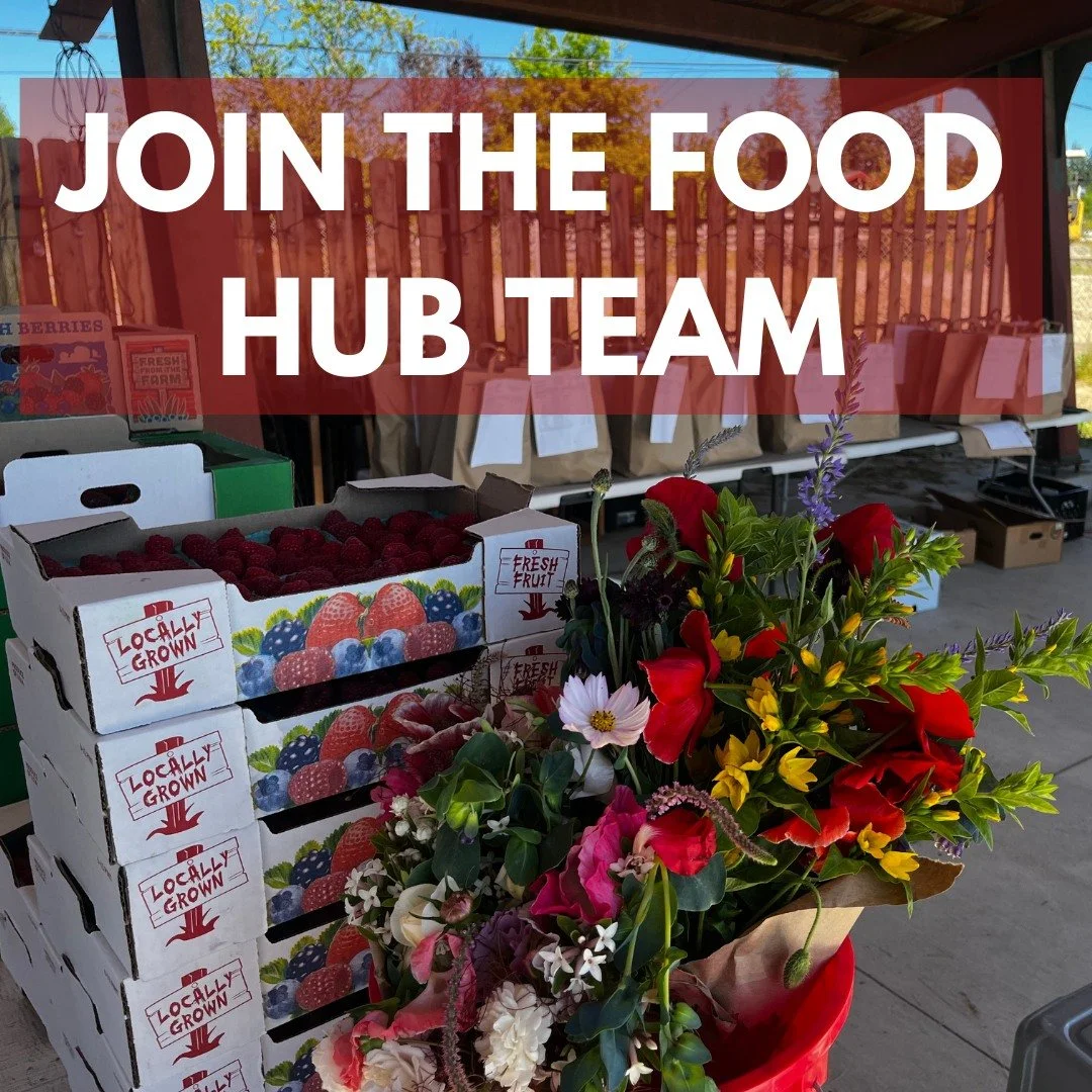We are hiring for support staff to do sales and marketing for the Food Hub! Work with local producers and buyers to support and strengthen the local food system.
.
Our open positions are posted now on our website: whidbeyislandgrown.com/jobs.
