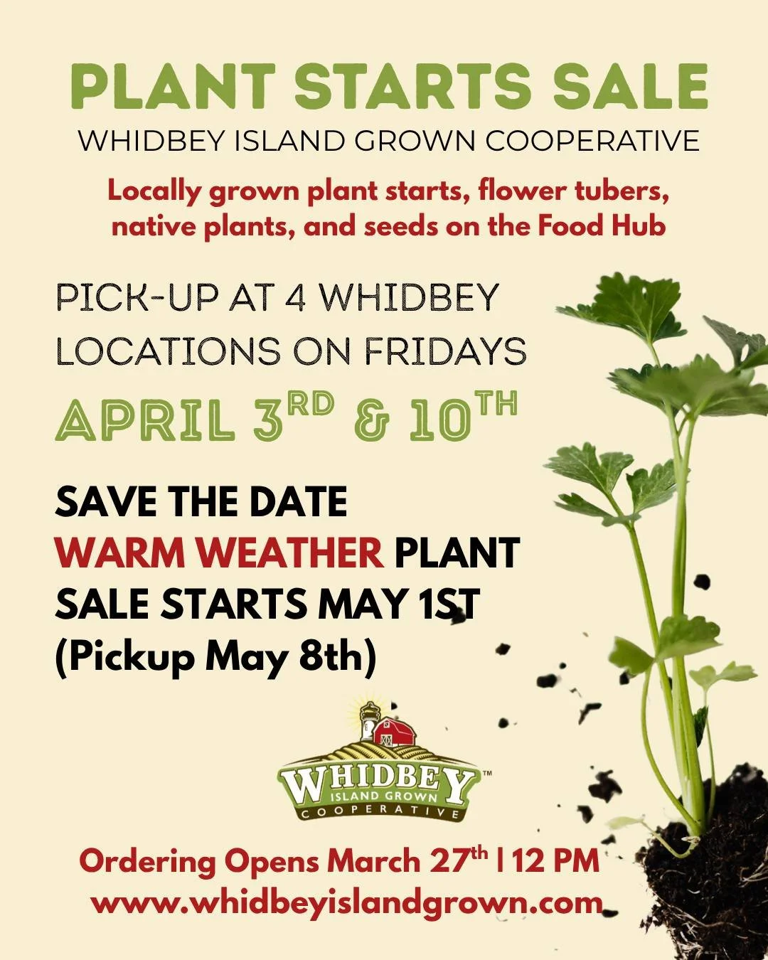 Whidbey Island Grown Cooperative's Annual Plant Start Sale Starts Now! 🌱
Get a jump on your garden with early spring, cool-weather starts!

Shop locally grown plant starts, flower tubers, native plants, and seeds&mdash;all available through the Food