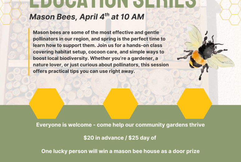 Mason Bees