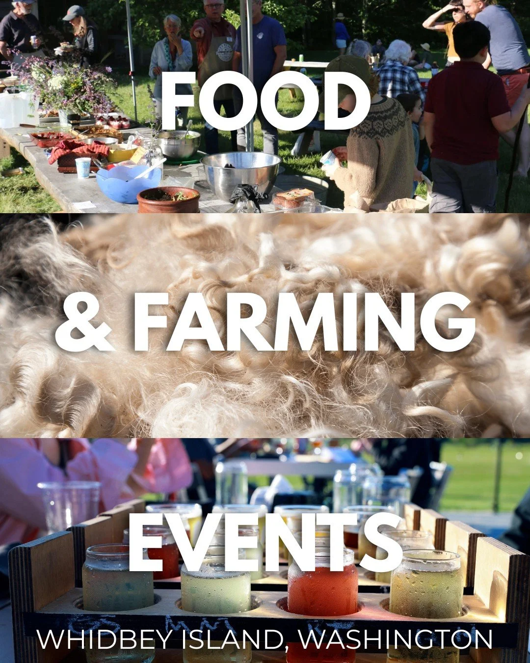 Looking for a way to connect with local food, farms, and makers this weekend? 🌿 There&rsquo;s so much goodness happening across Whidbey&mdash;here are a few gatherings to add to your calendar:

Friday, April 10
🌱 It&rsquo;s Time to Celebrate! at th
