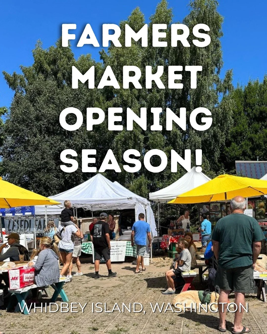 Farmers Market season is upon us! 🌿🧺

There&rsquo;s nothing quite like the return of market days&mdash;fresh produce, local goods, familiar faces, and that unmistakable sense of community. Mark your calendars for opening days across Whidbey:

Satur