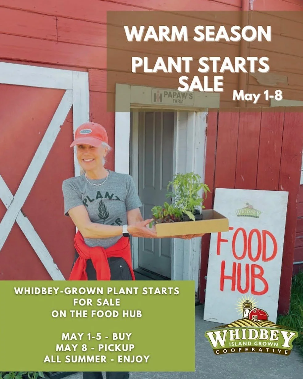 🌞 Ready to Order: Whidbey-Grown Warm-Weather Plant Starts! 🌱

Dreaming of summer feasts? Order your hot weather starts now to maximize your summer yield. The best garden starts come from neighboring farmers&mdash;and now&rsquo;s your chance to plan
