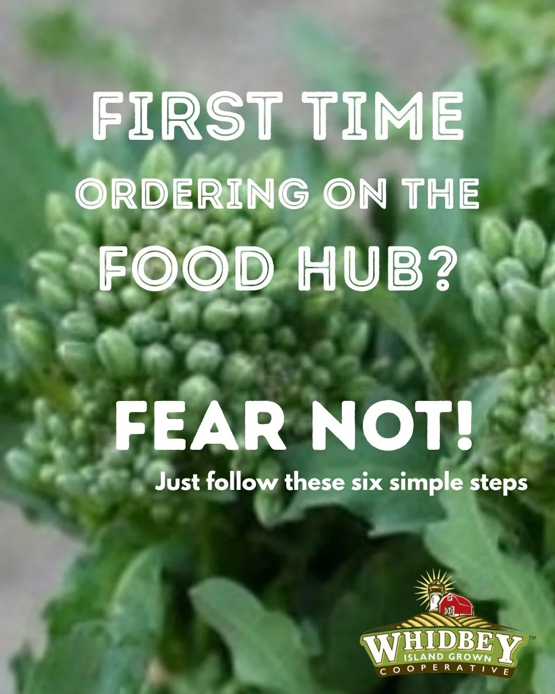 🌱 Food hub curious? Not quite certain how it all works?
We encourage you to shop and try Whidbey Island Food Hub for the first time!
Getting started is super simple:
1) Create your account (no fees!) https://whidbeyislandgrown.localfoodmarketplace.c