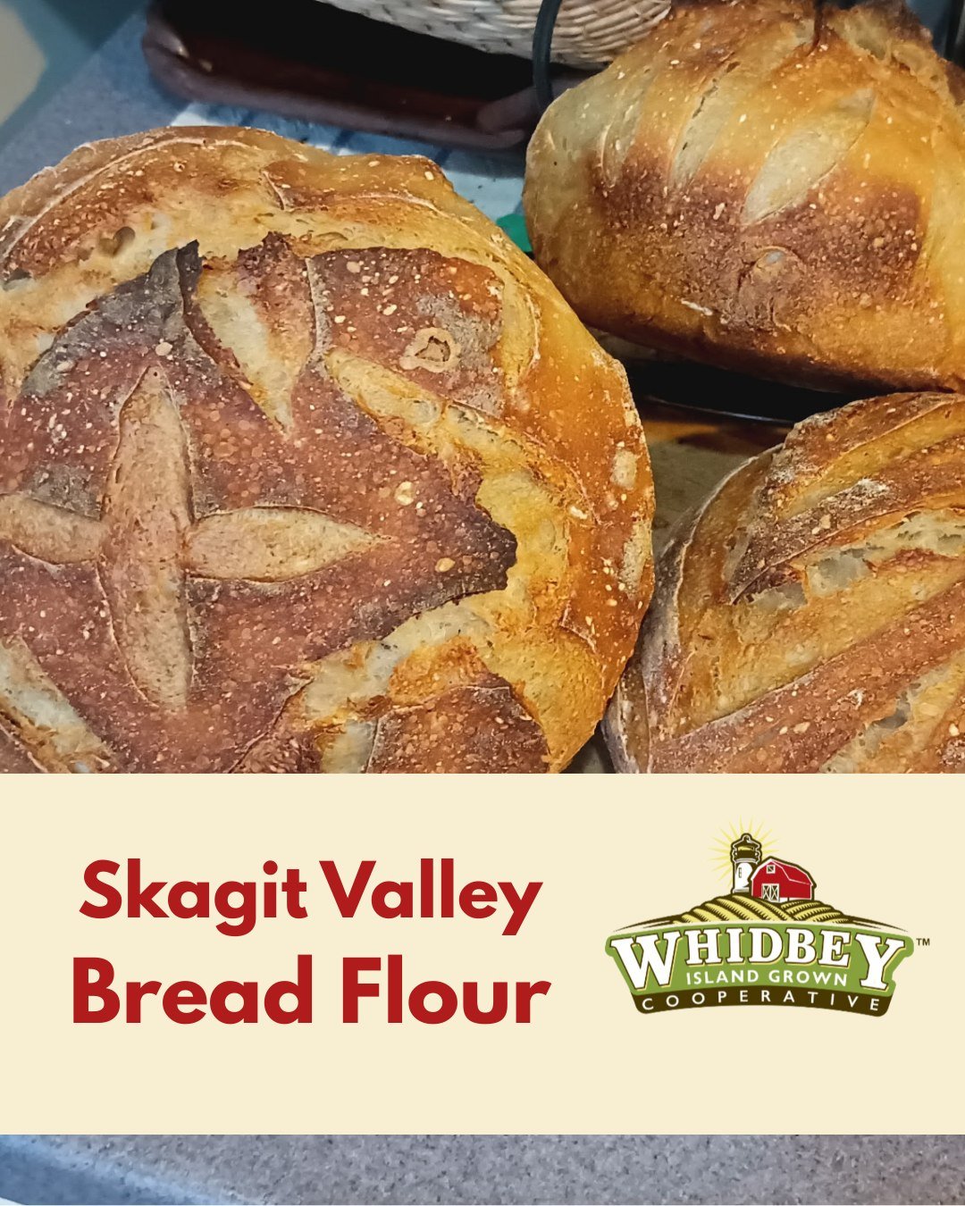 There&rsquo;s something special about baking with flour grown close to home. Thanks to our partnership with Puget Sound Food Hub, Whidbey households have access to regional staples like the flours from Cairnspring Mills in Skagit Valley &mdash; witho