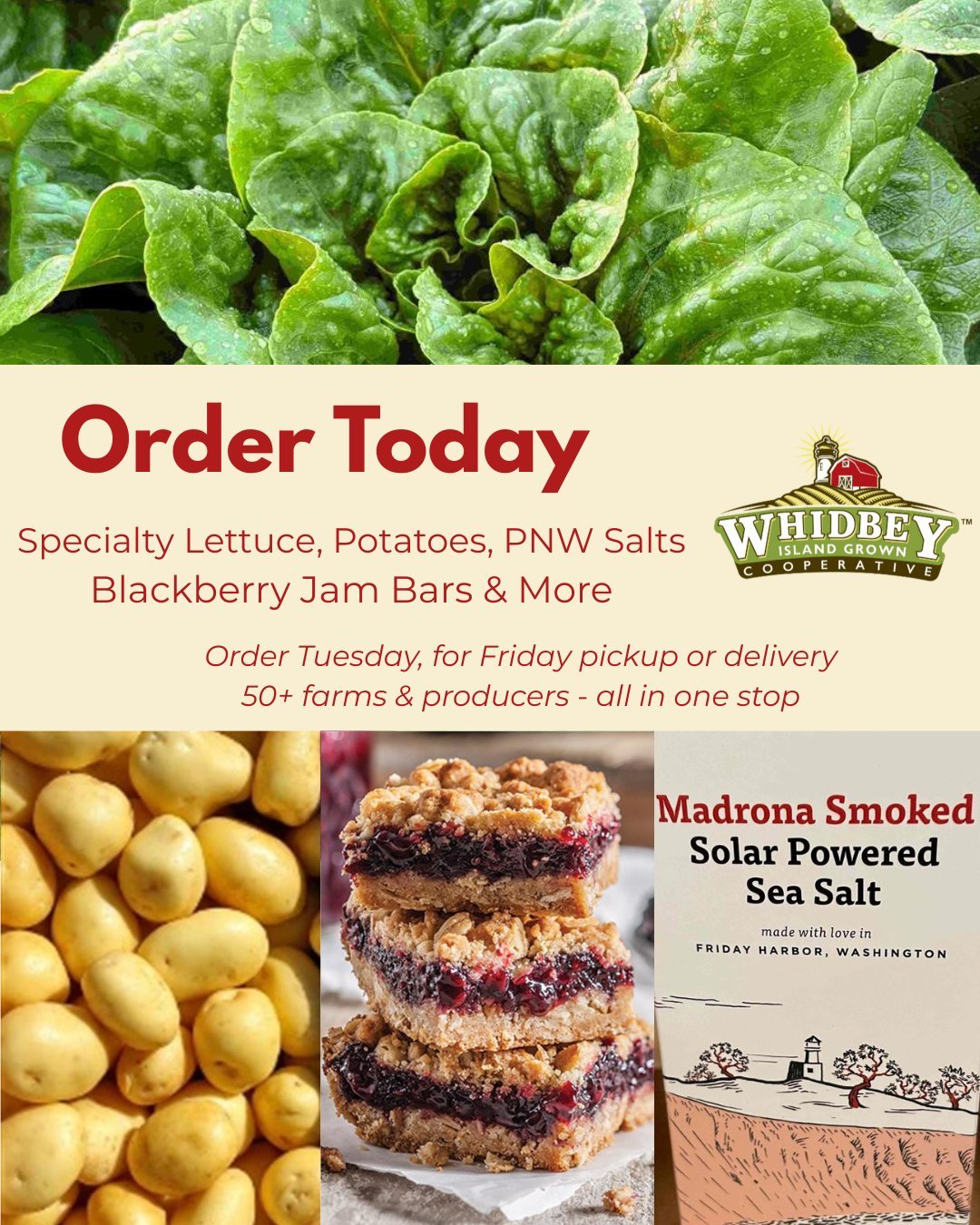 This week on the Food Hub:
🥬 Specialty lettuces &mdash; from Winter Destiny to Little Gem to Merveille des Quatre Saisons, discover new flavors and textures for your spring salad.
🥔 Last call for local potatoes &mdash; stock up on 3lb bags of tende