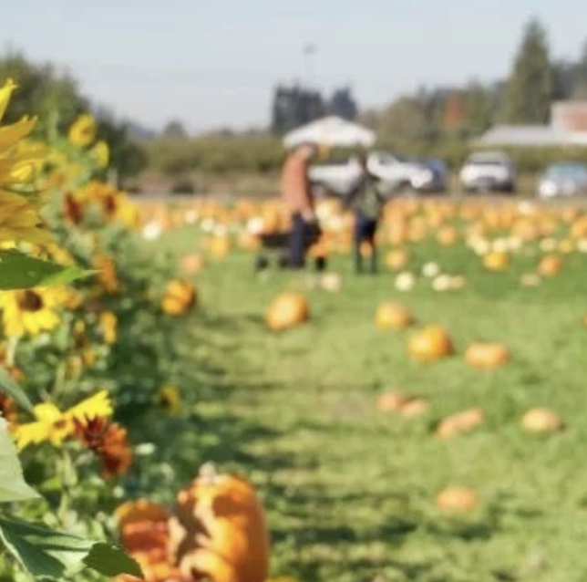 Webinar: What Agritourism Farms Should Know