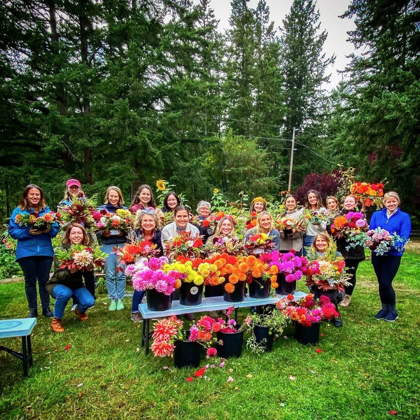 Flowers on the Farm Dahlia Centerpiece Class