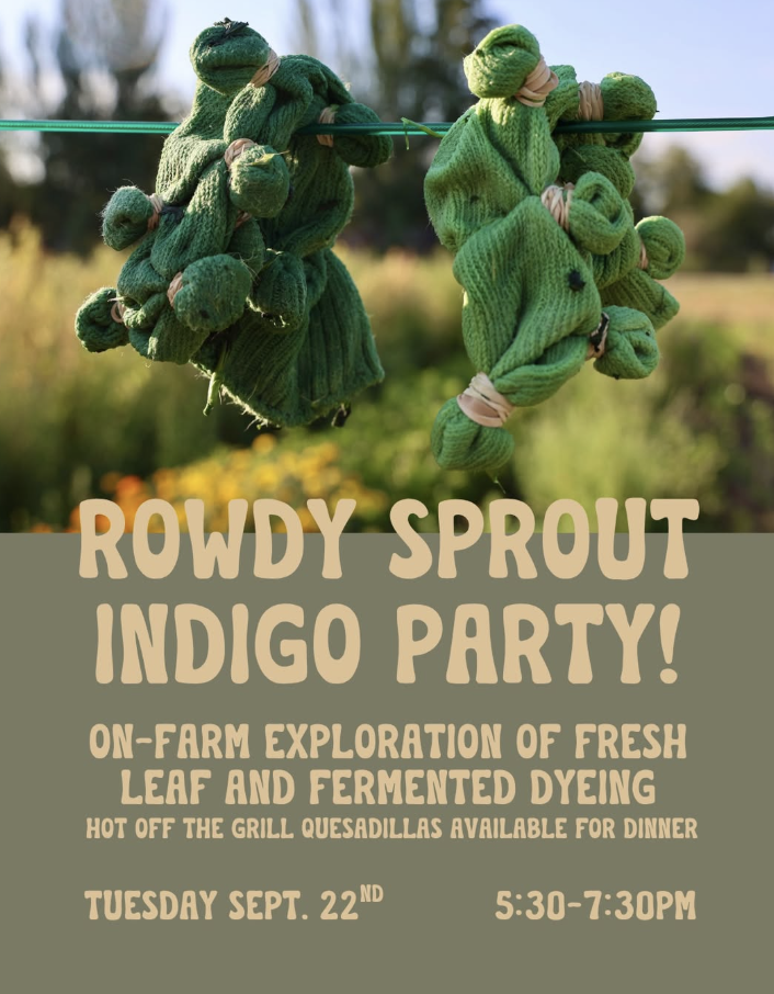 Rowdy Sprout Farm Botanical Dye Workshop