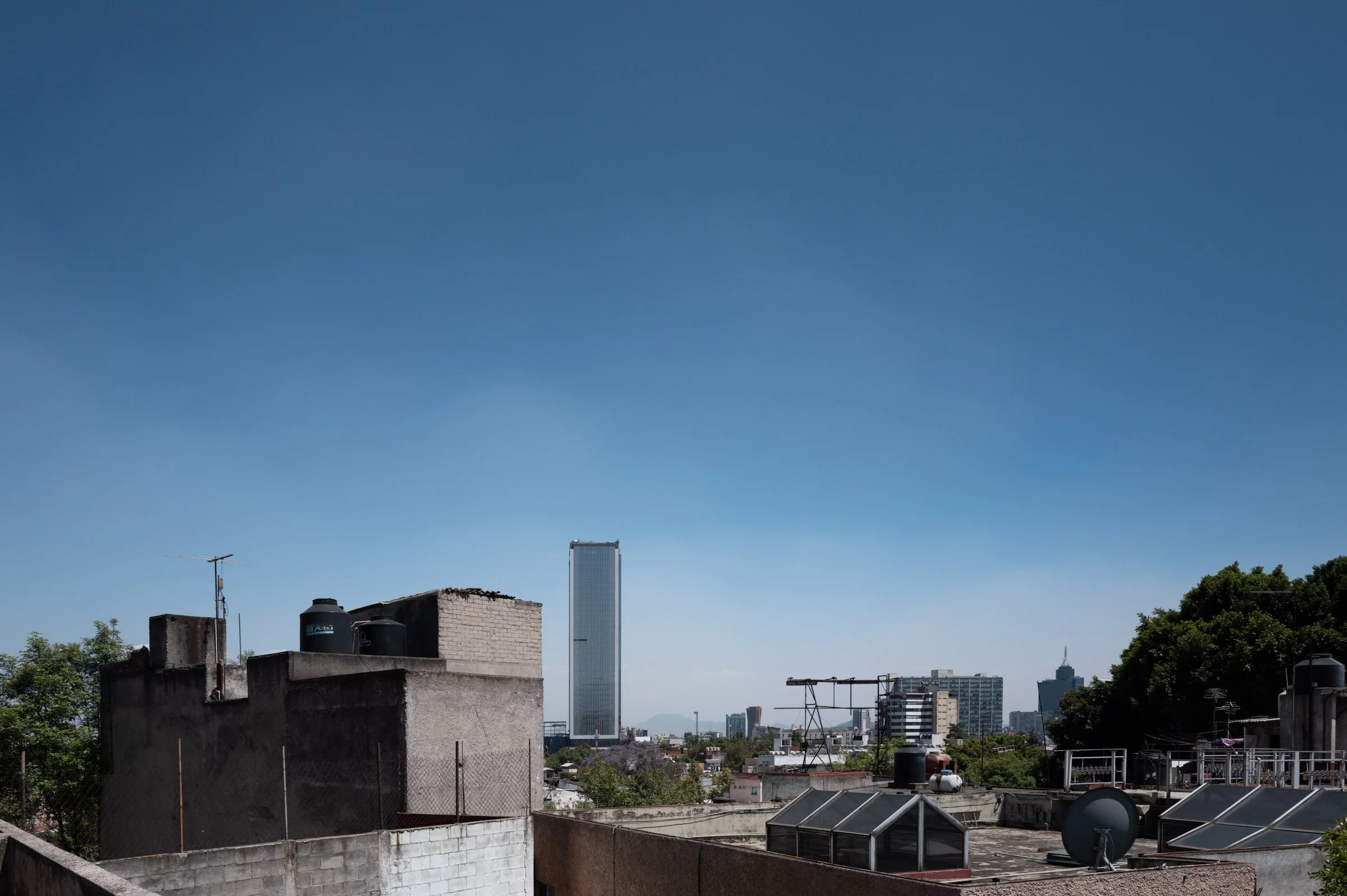 L1002486.jpg