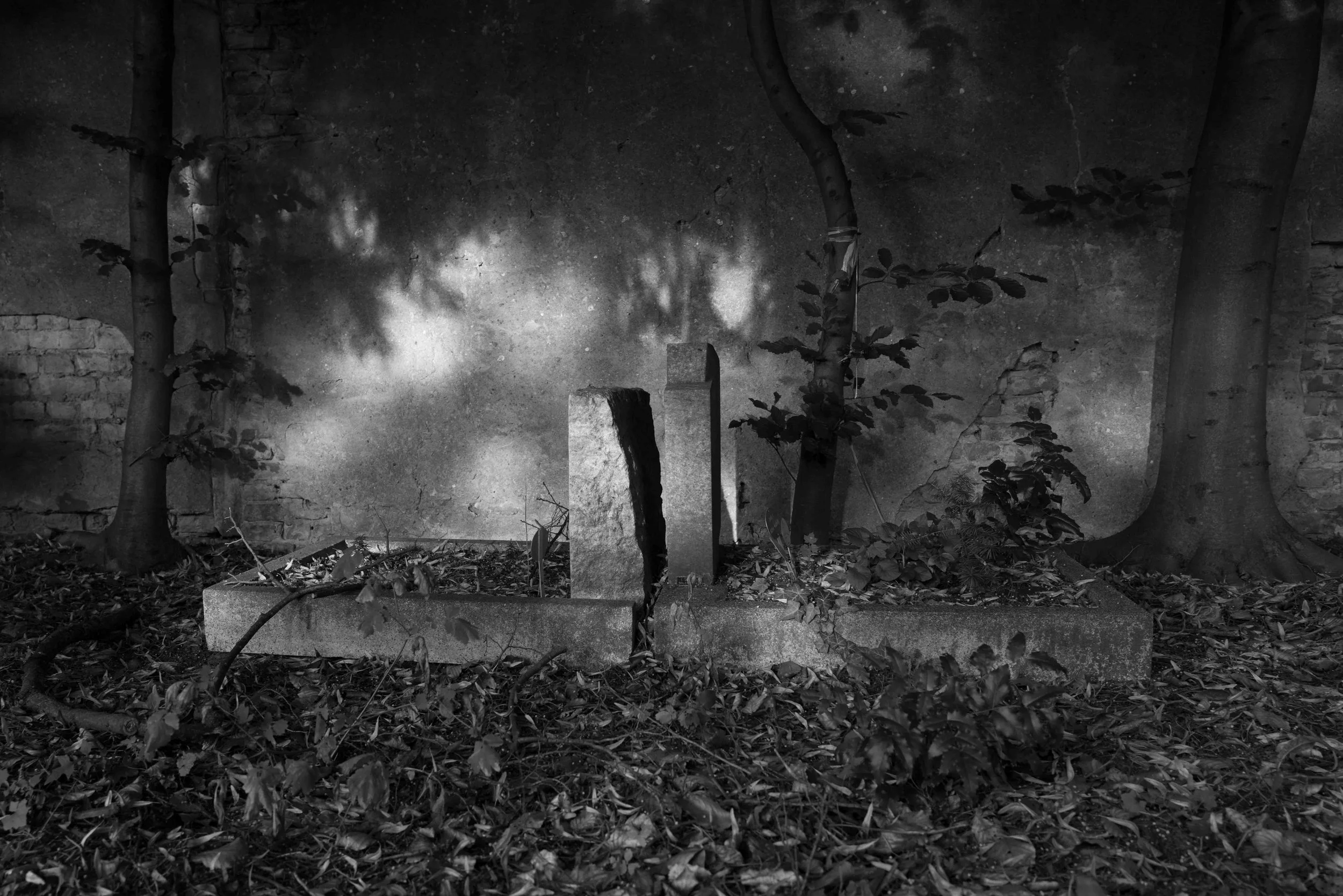 L1002527.jpg