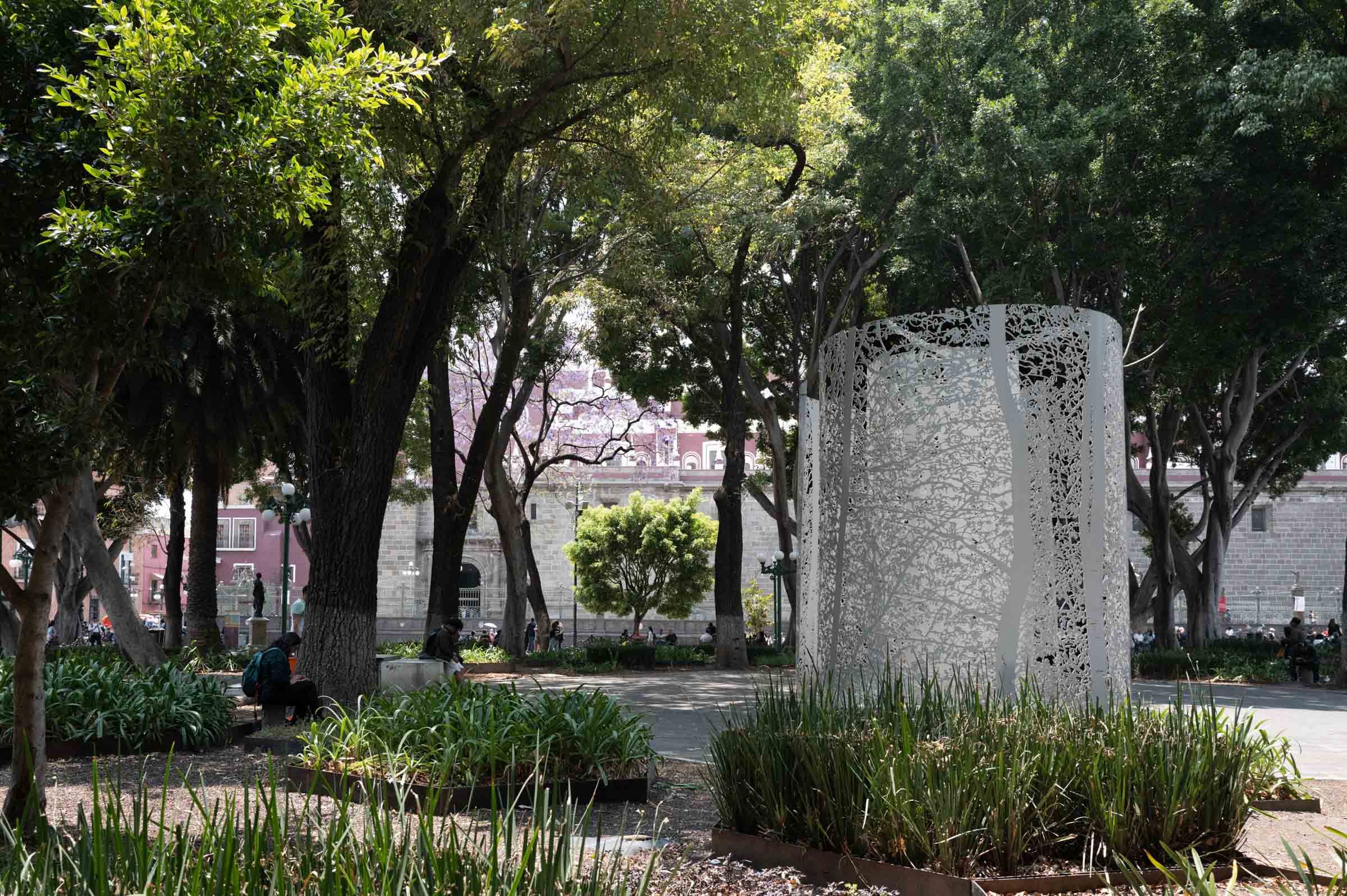 L1003083.jpg