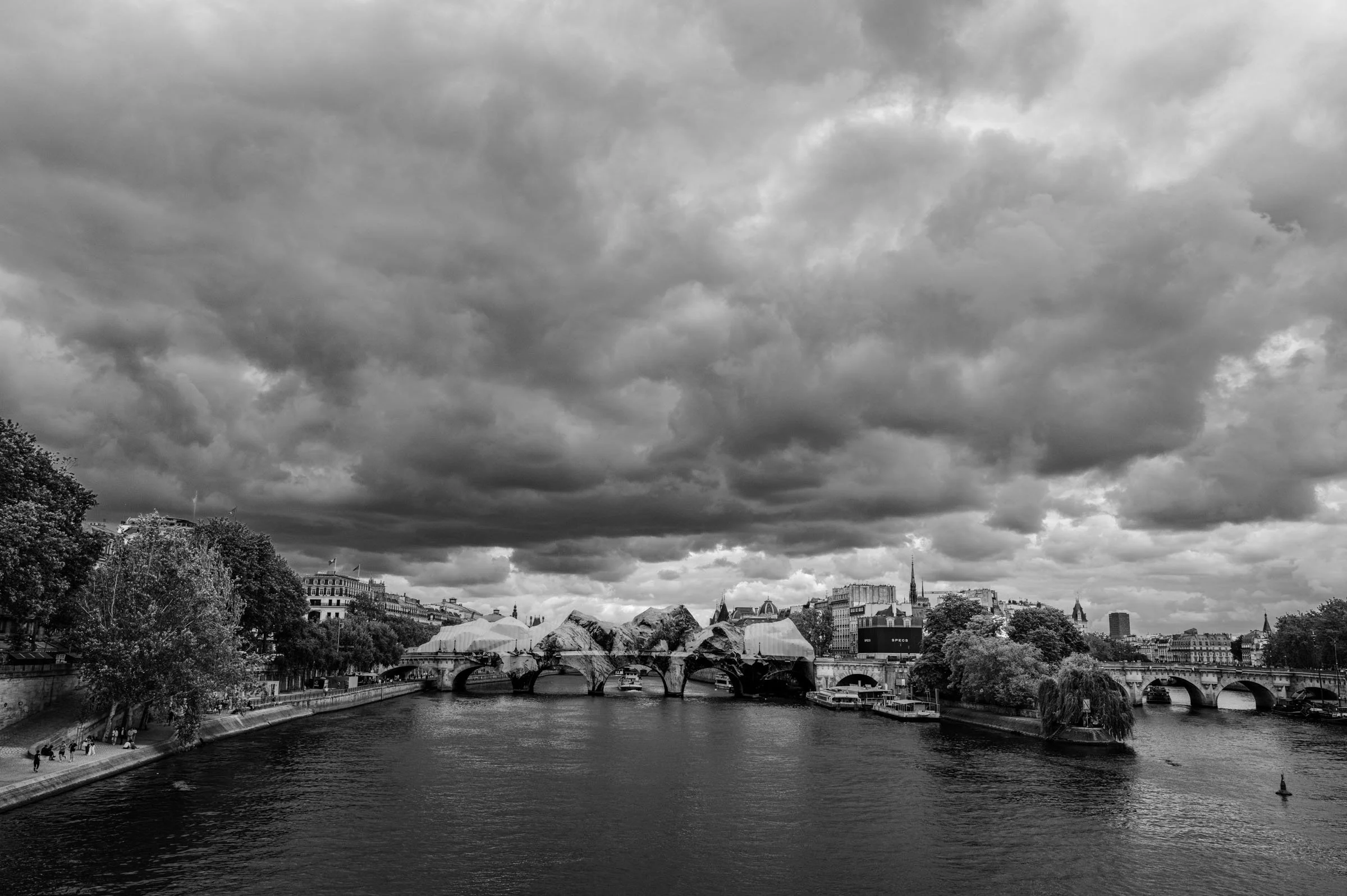 L1004949.jpg