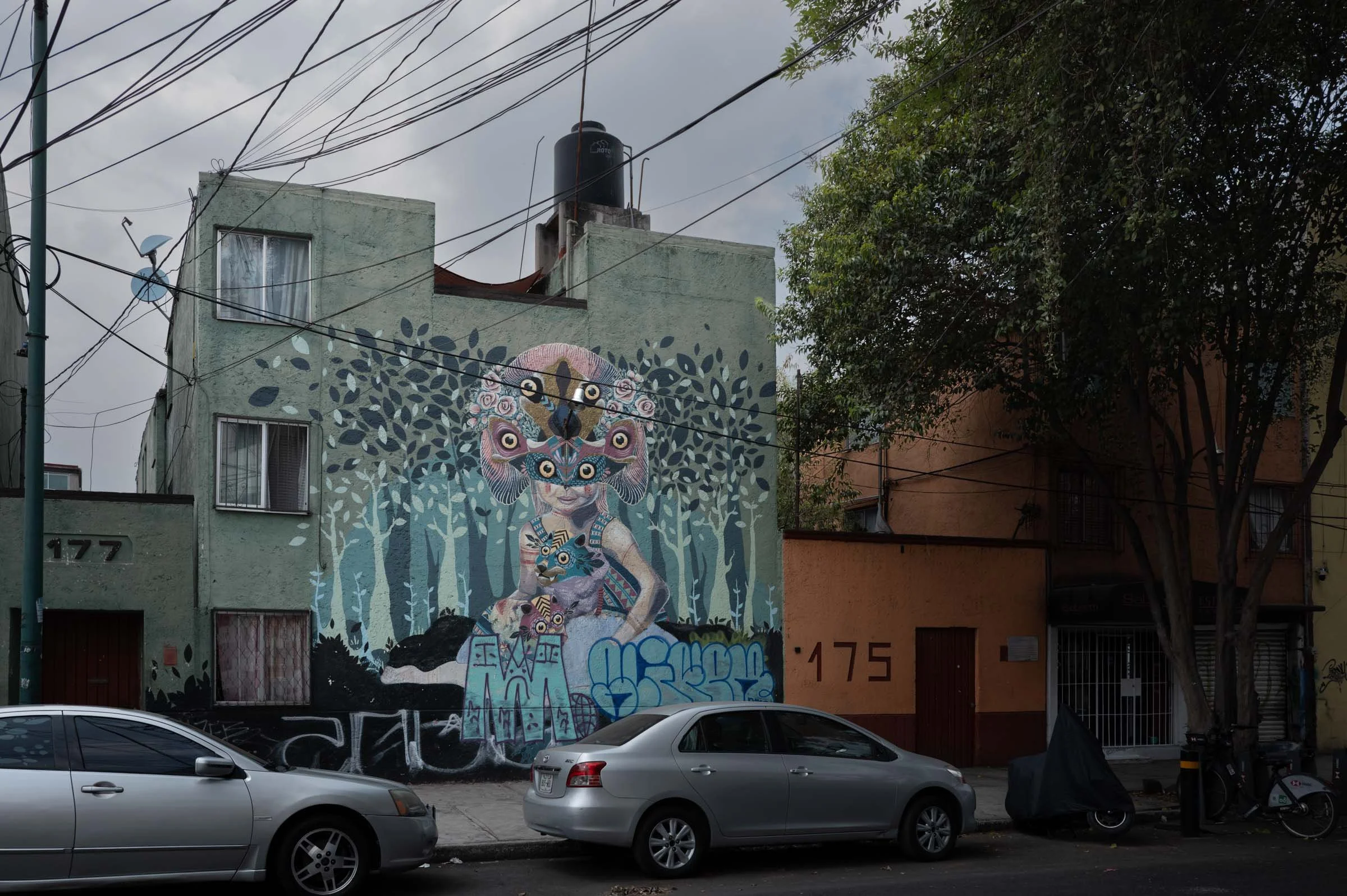 L1002042.jpg