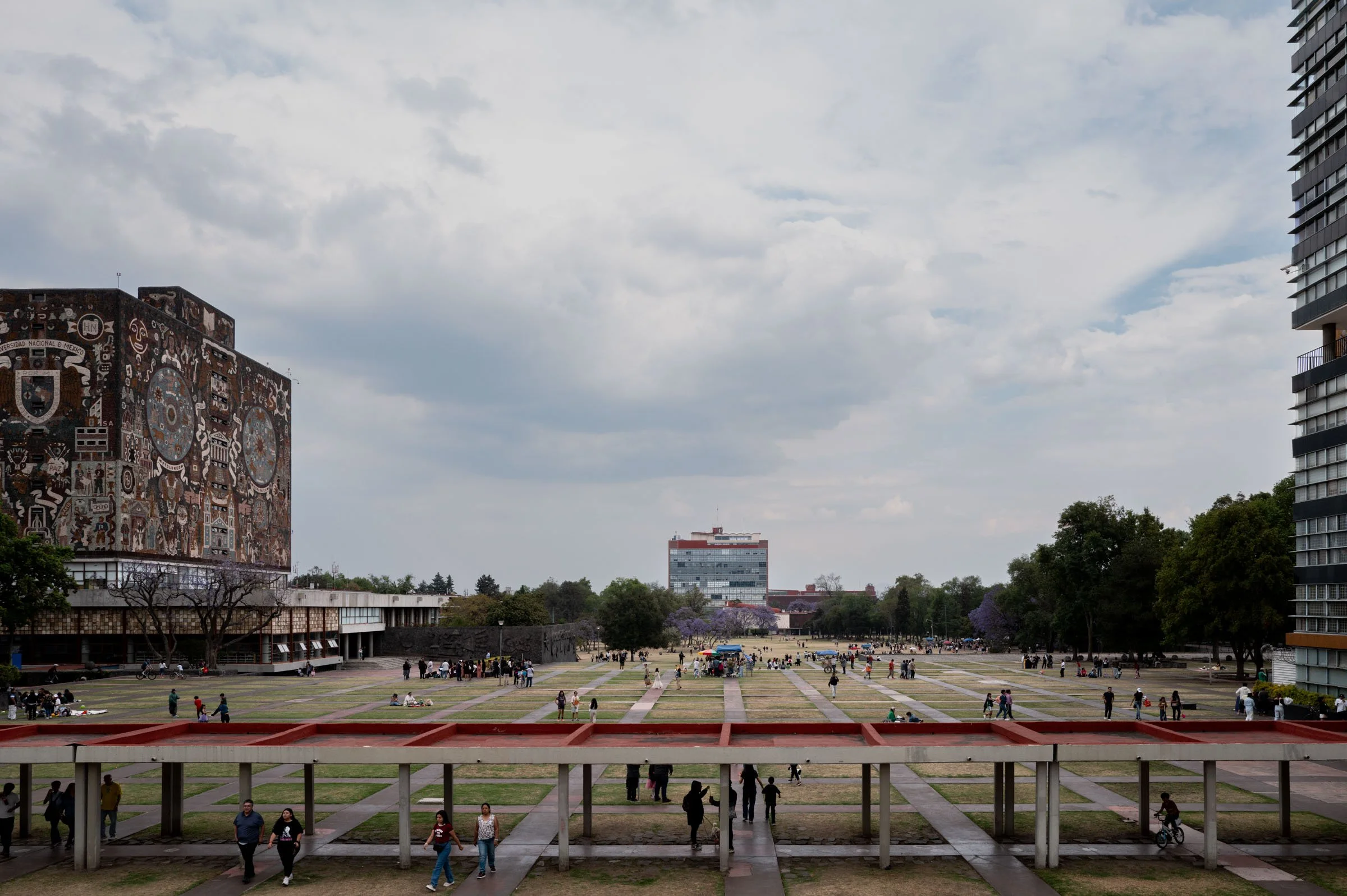 L1002783.jpg