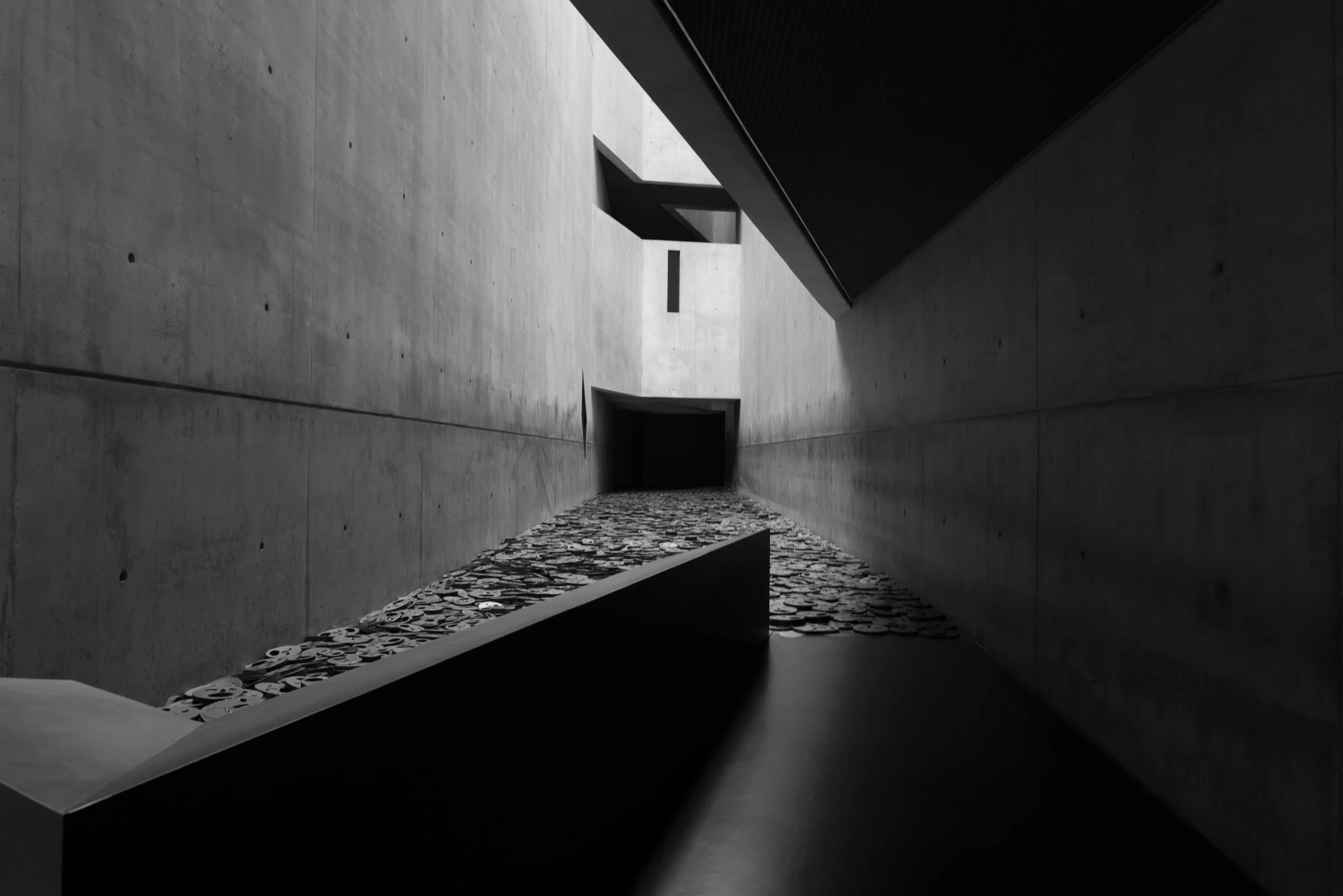 L1001610.jpg
