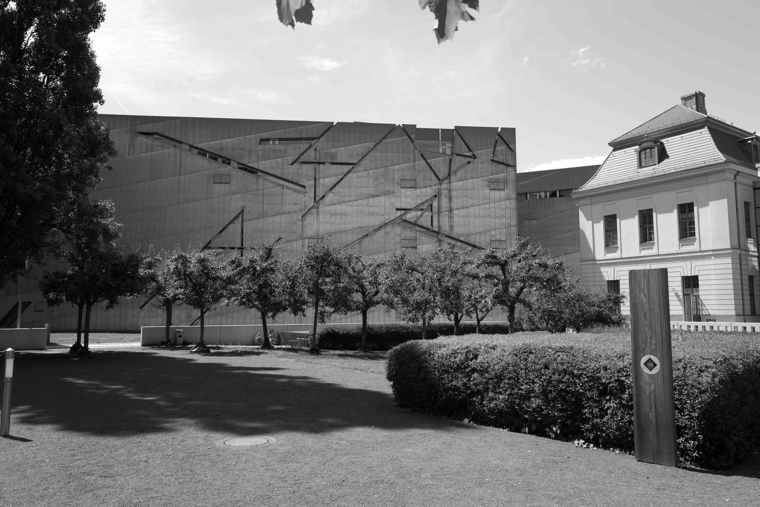 L1001633.jpg