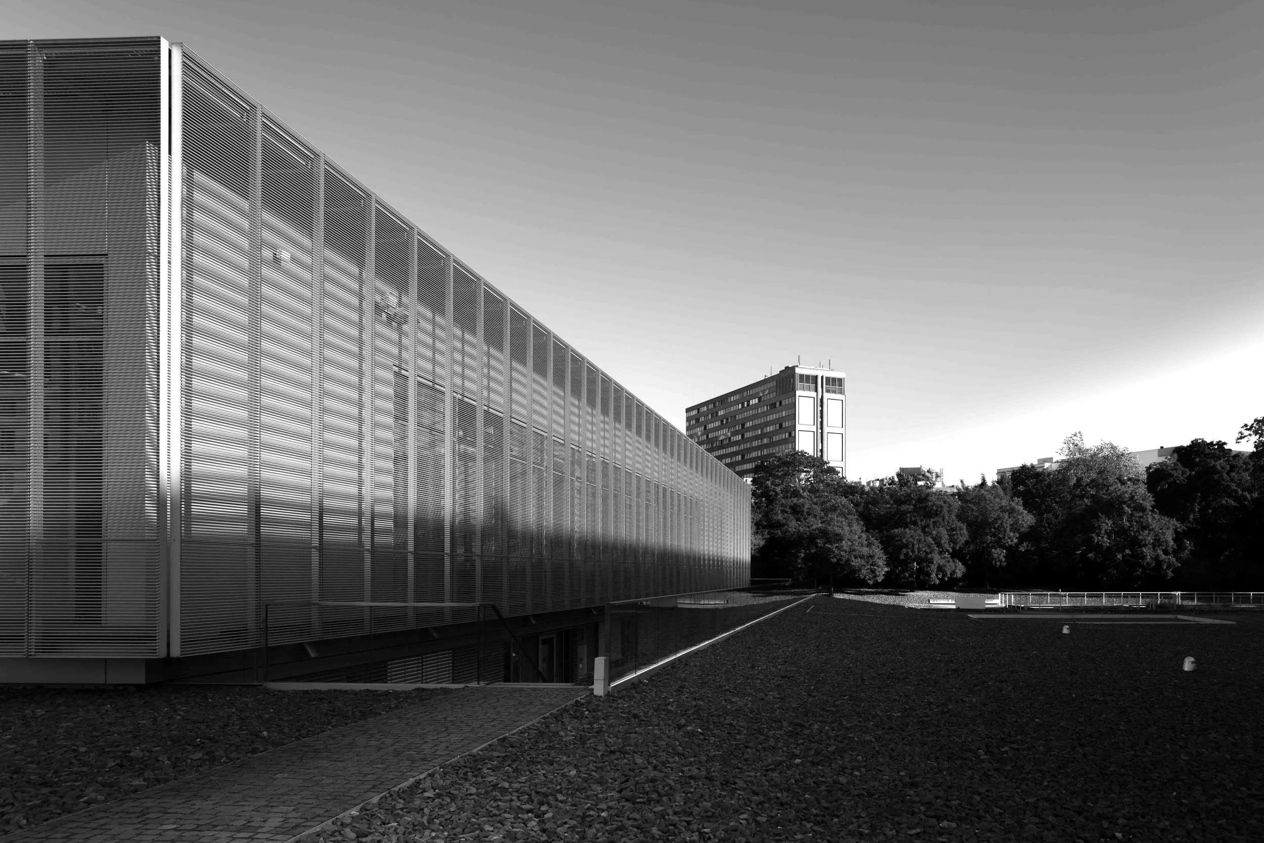 L1001502.jpg