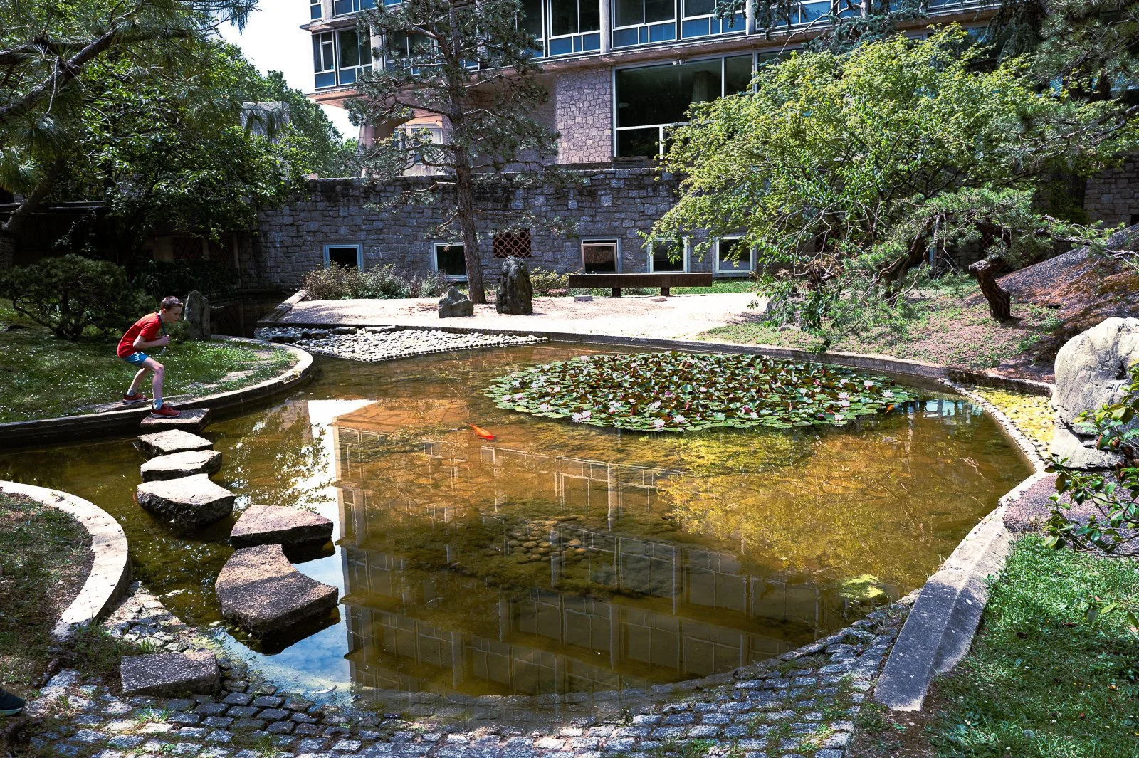 L1004361.jpg