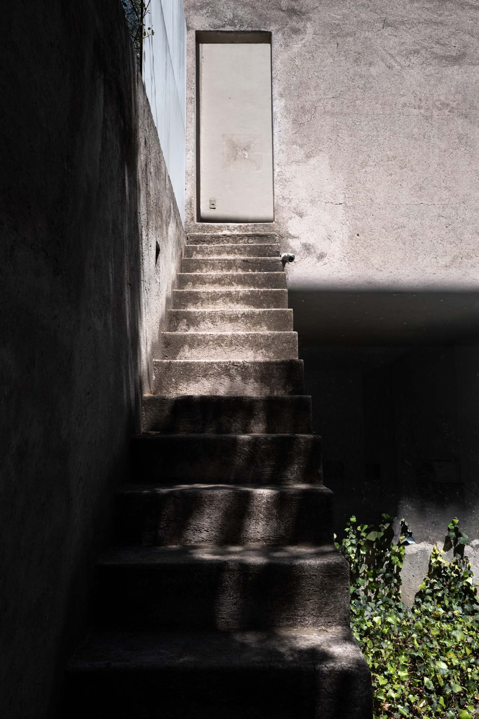L1002484.jpg
