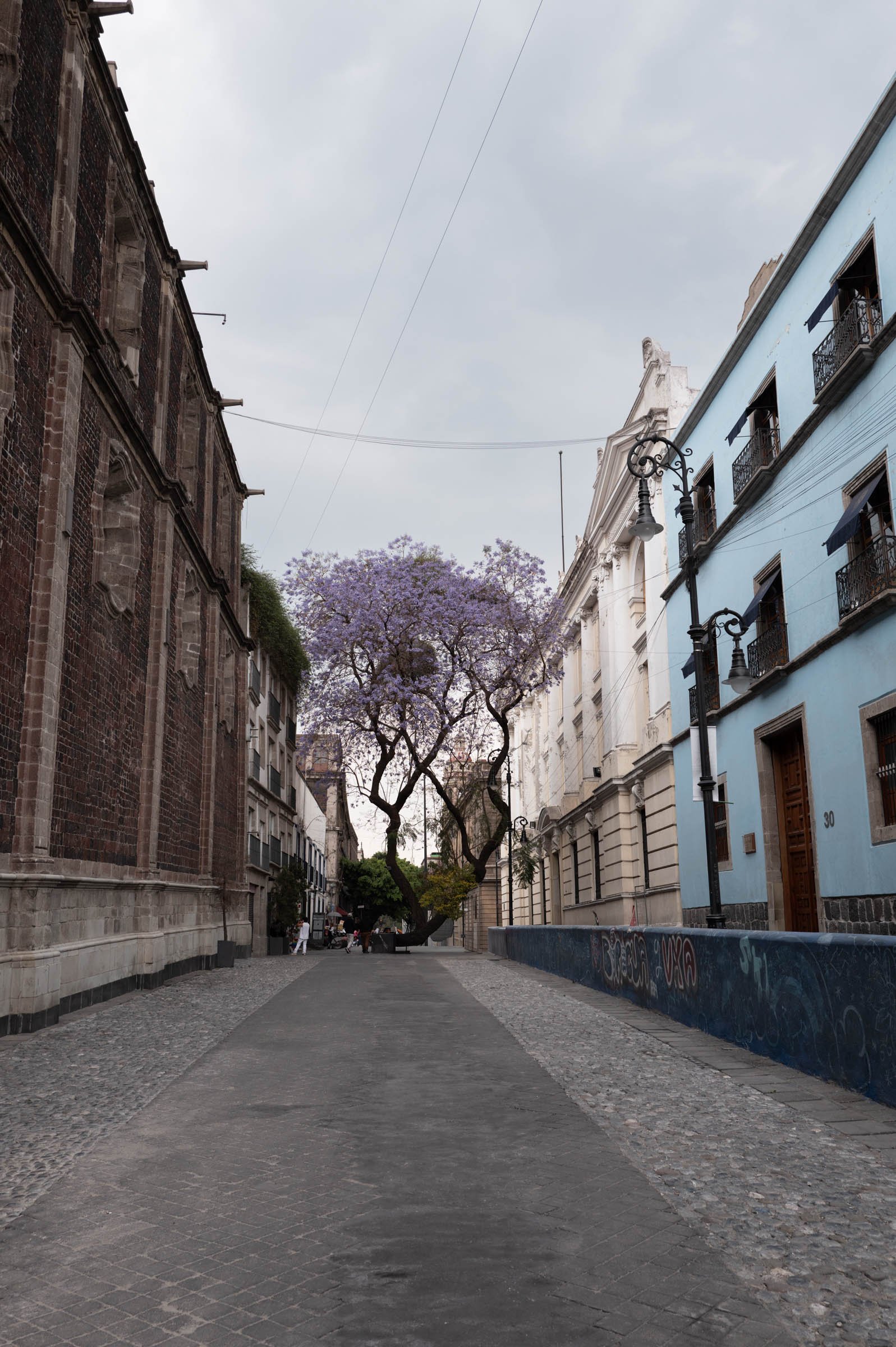 L1002392.jpg