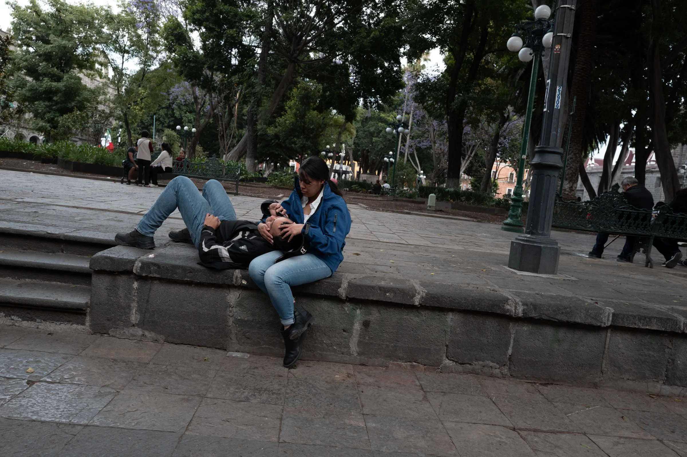 L1003138.jpg