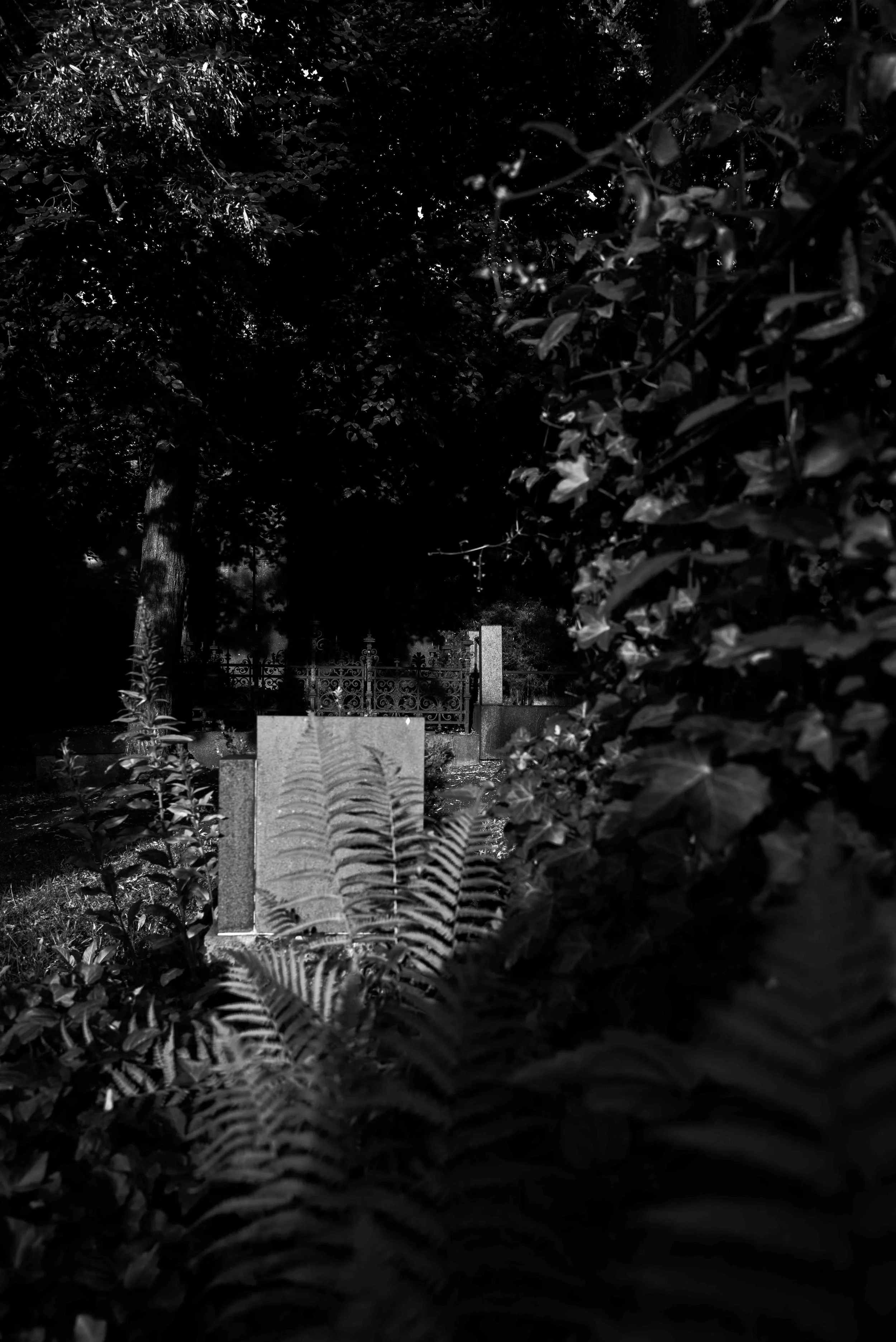 L1002525.jpg