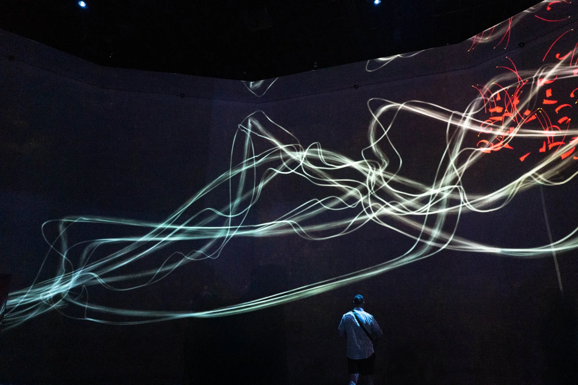 TeamLab Borderless