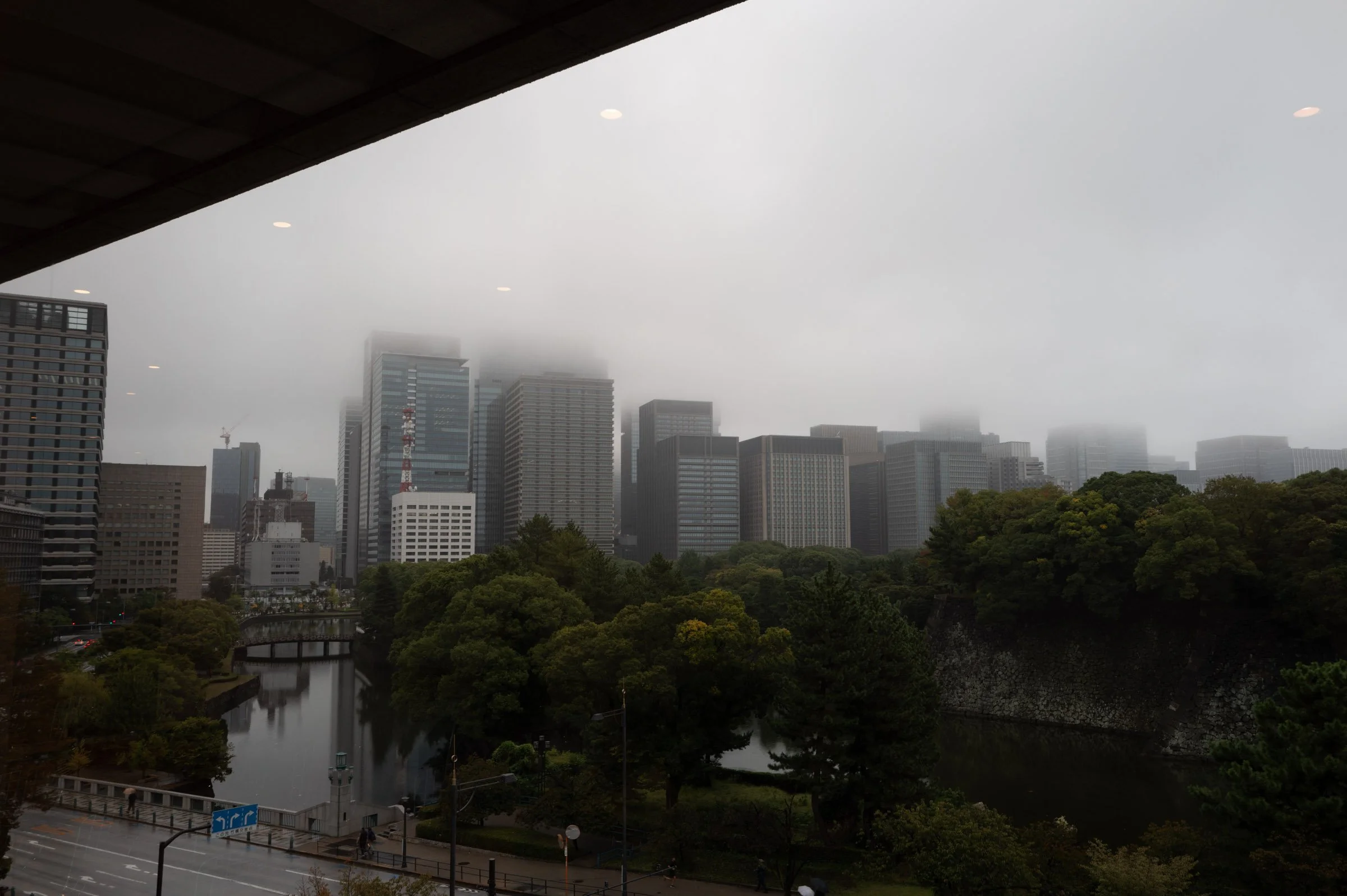 L1000397.jpg