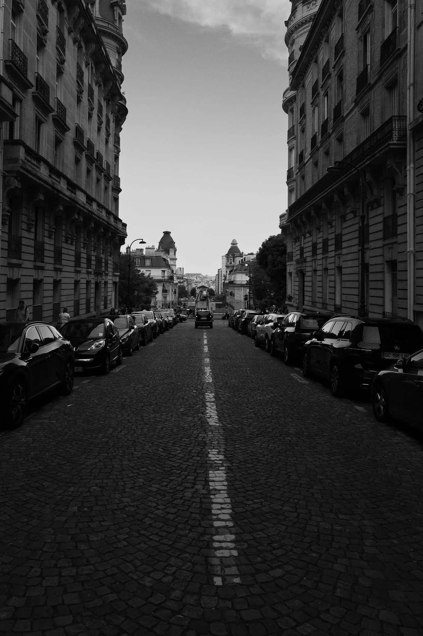 L1006019.jpg