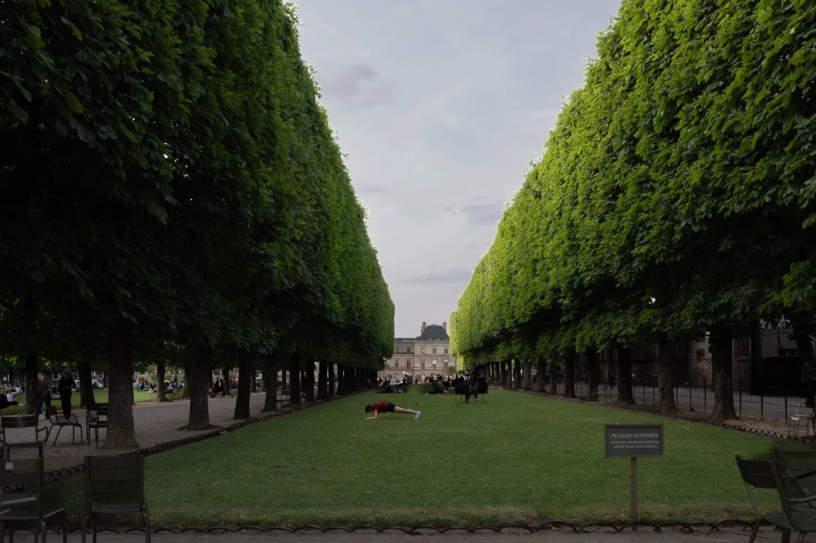 L1005159.jpg