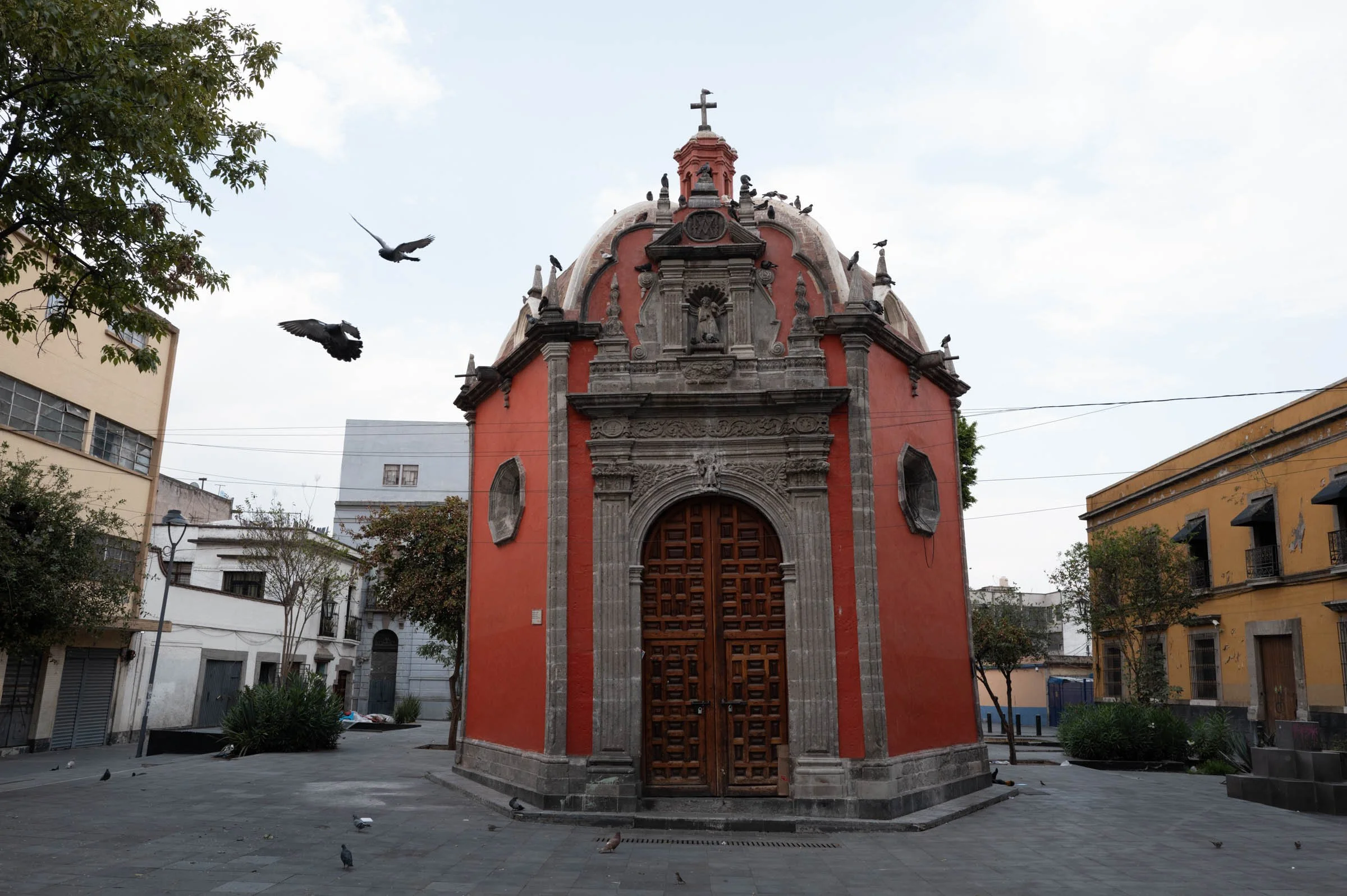 L1002416.jpg