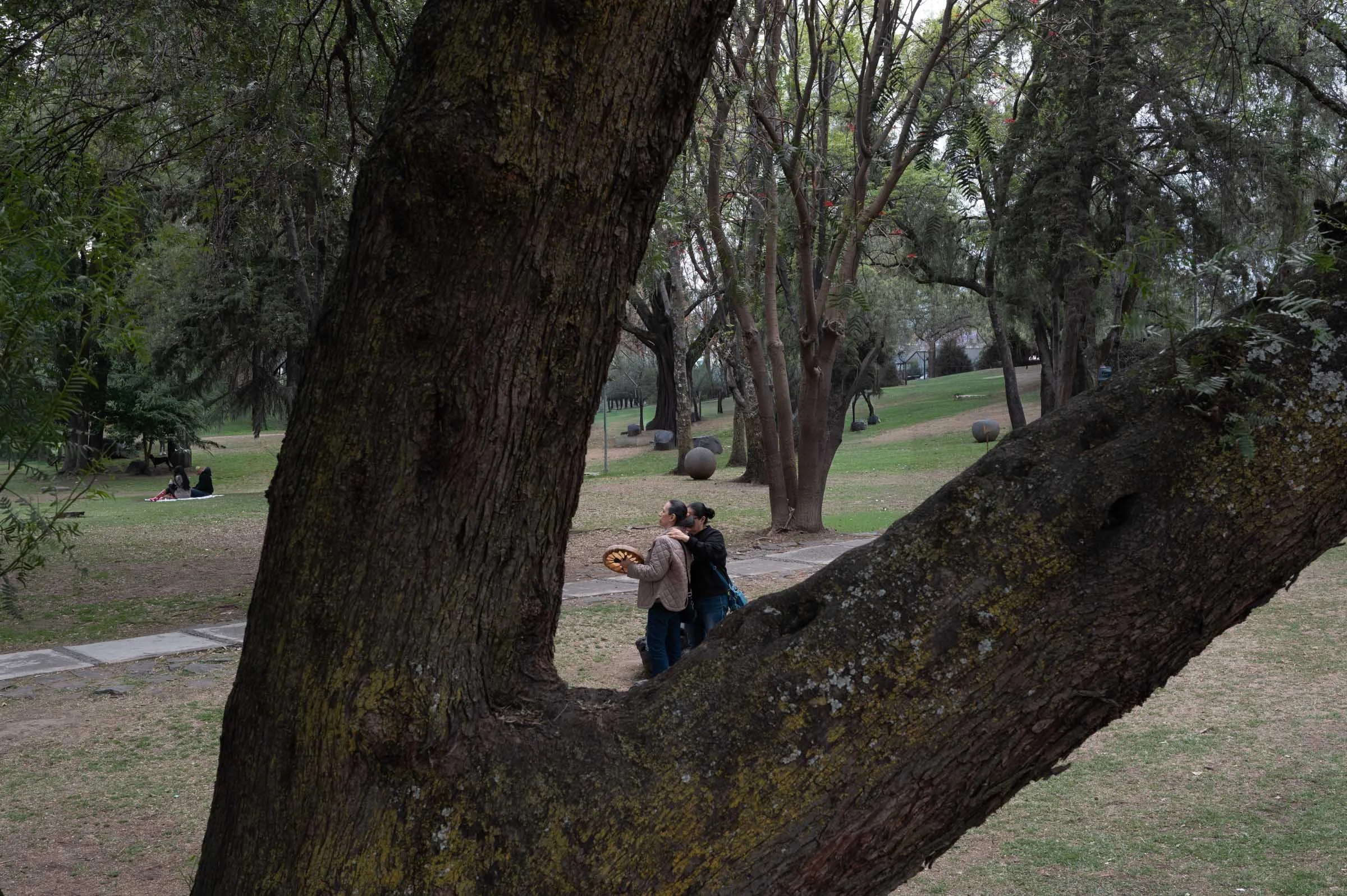L1002795.jpg