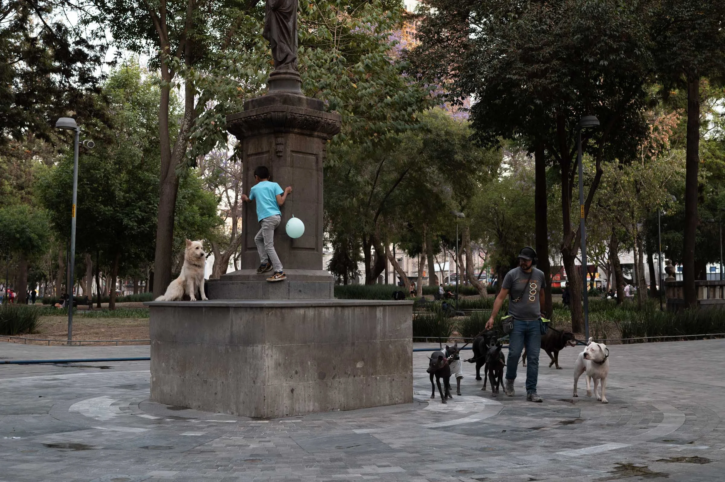 L1002290.jpg
