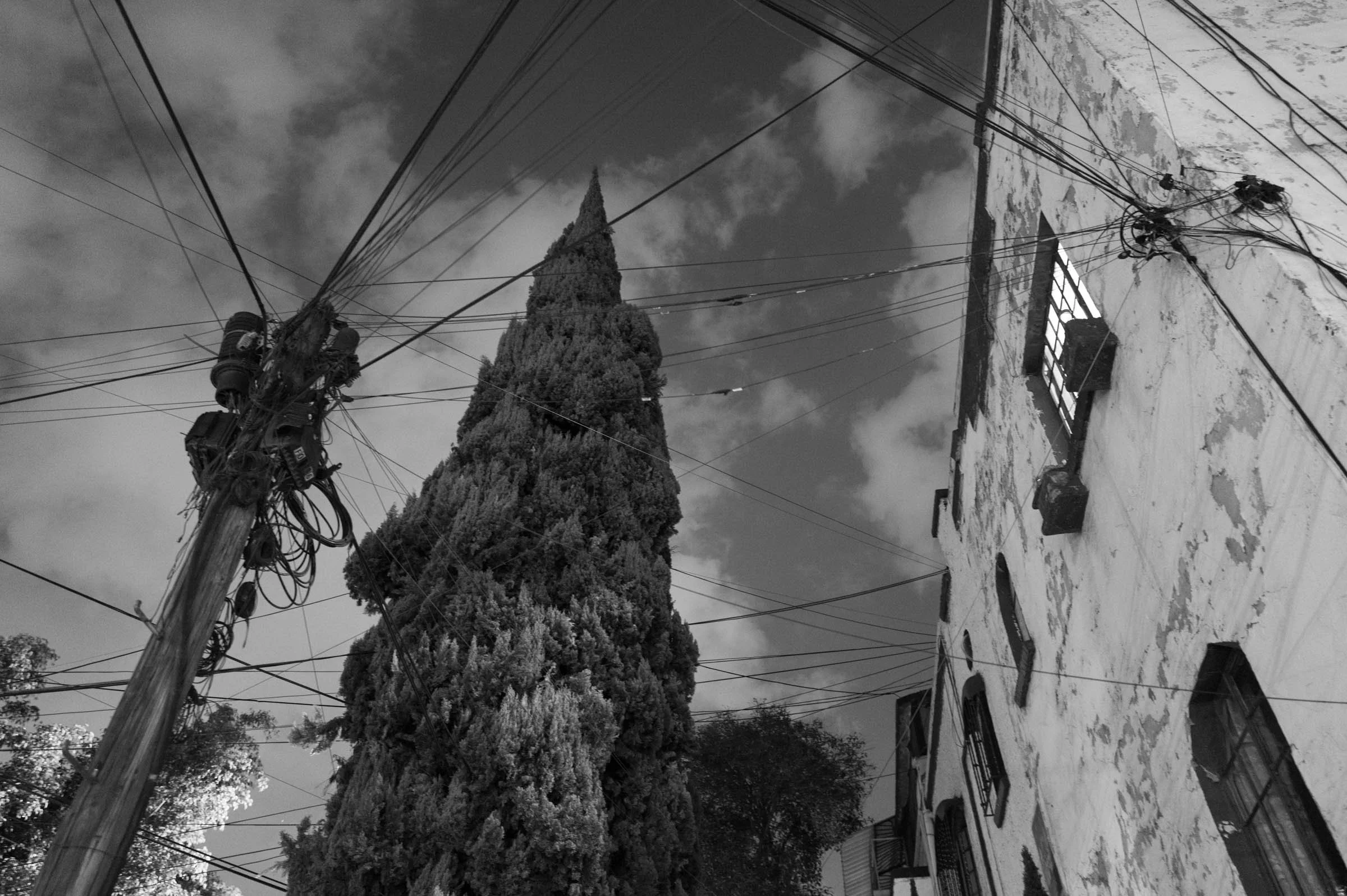 L1001542.jpg