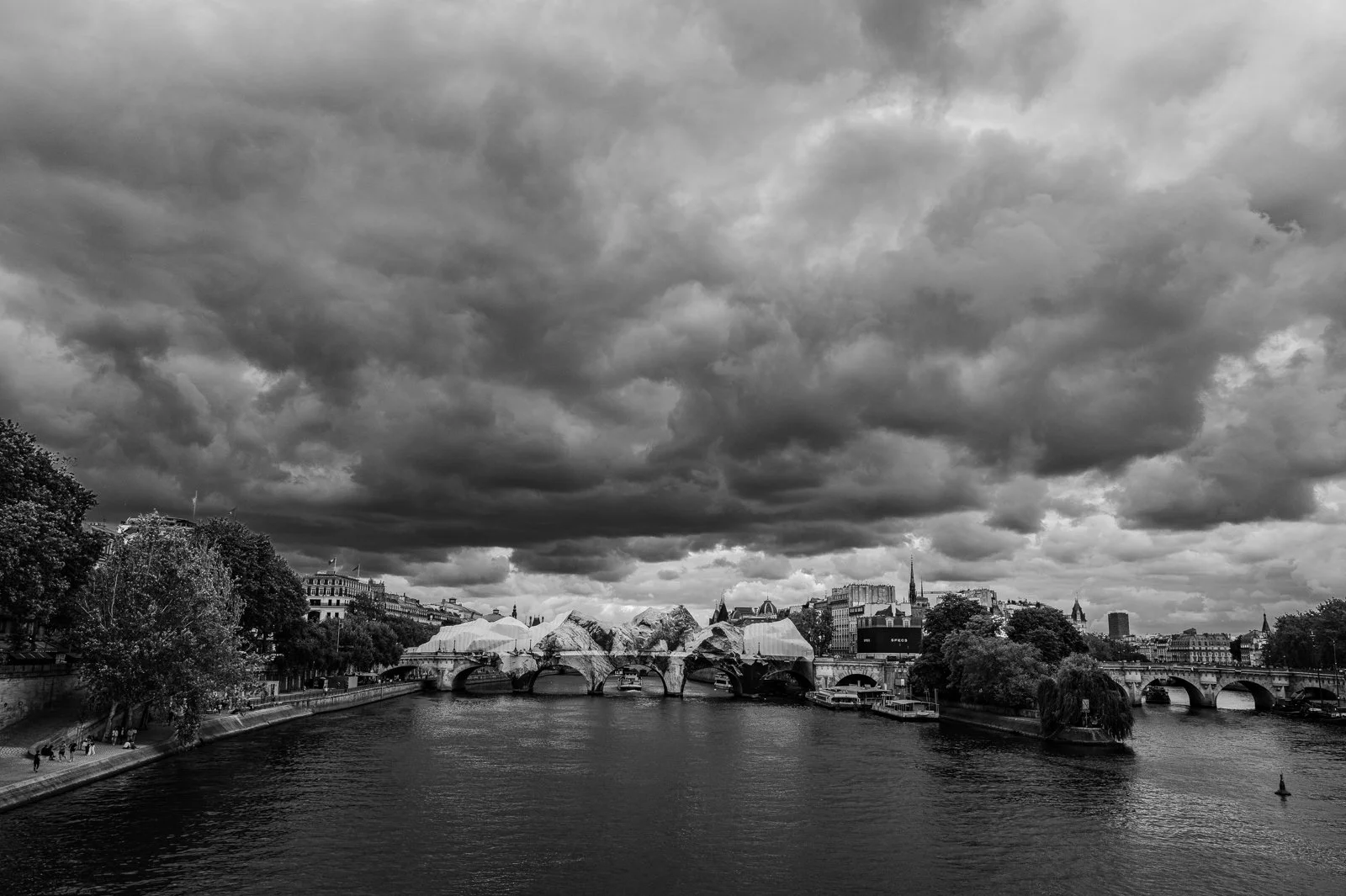 L1004949.jpg