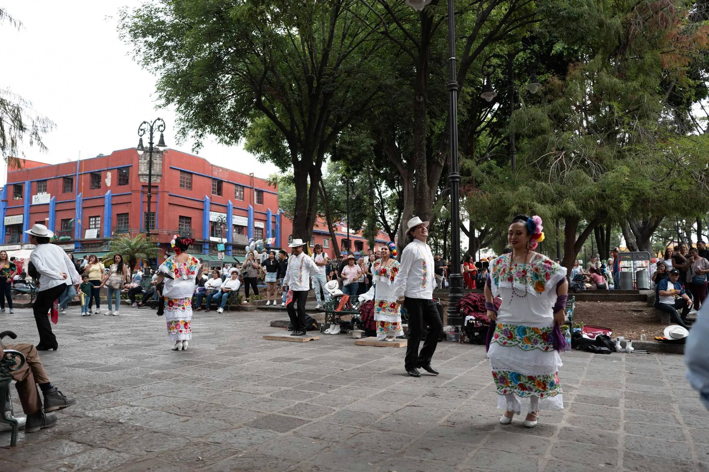 L1003169.jpg