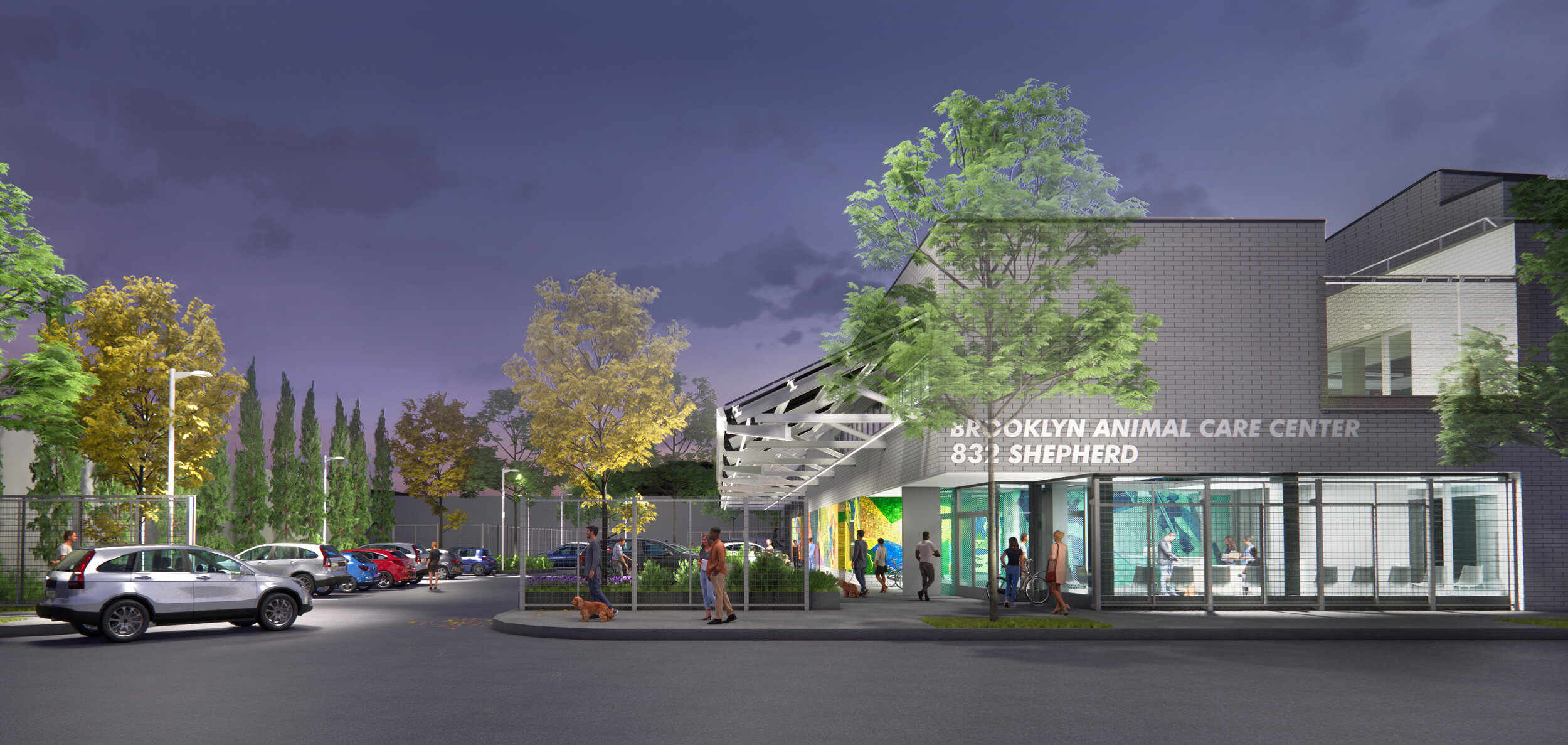 Brooklyn Animal Care Center — Alex Cornhill Design