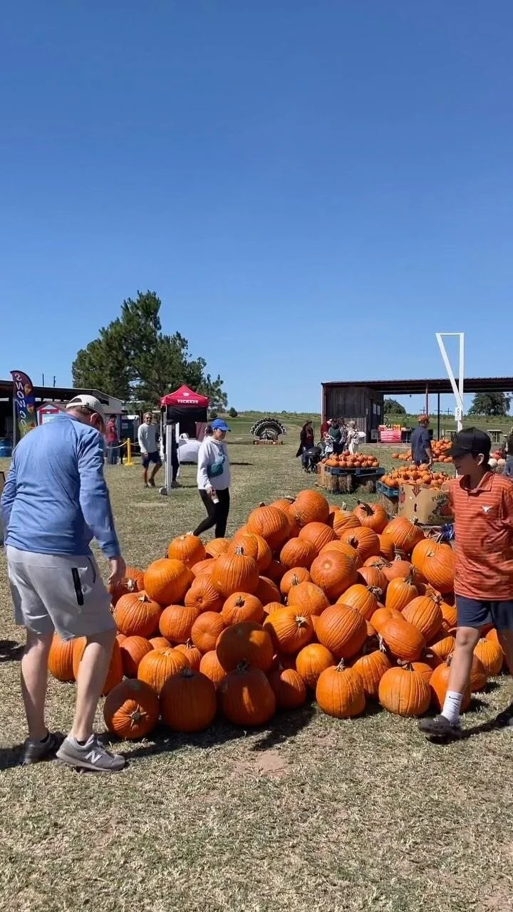 Elgin CHRISTmas Tree Farm