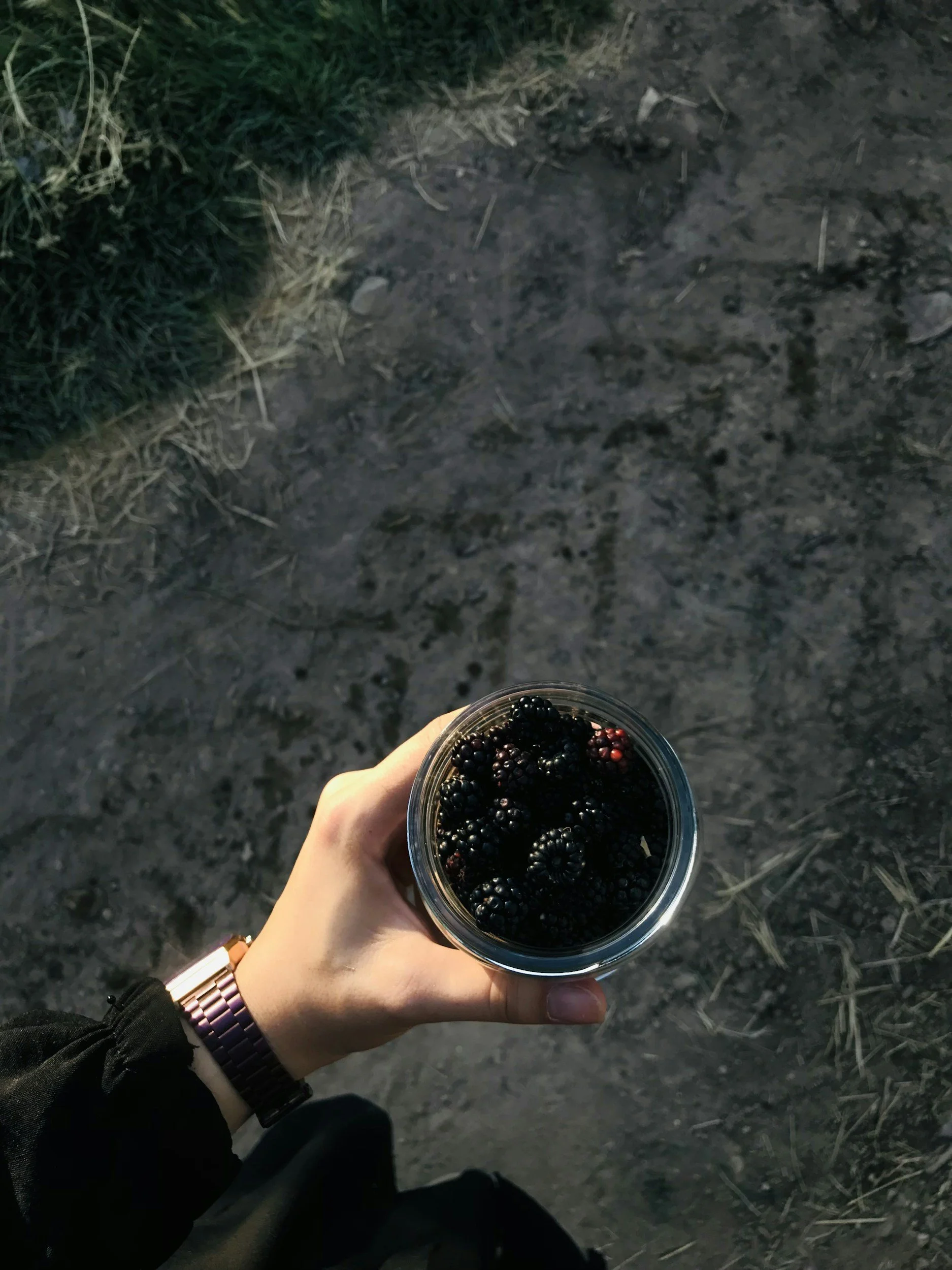 Hand holding a clear cup filled with blackberries on dirt ground outdoors.