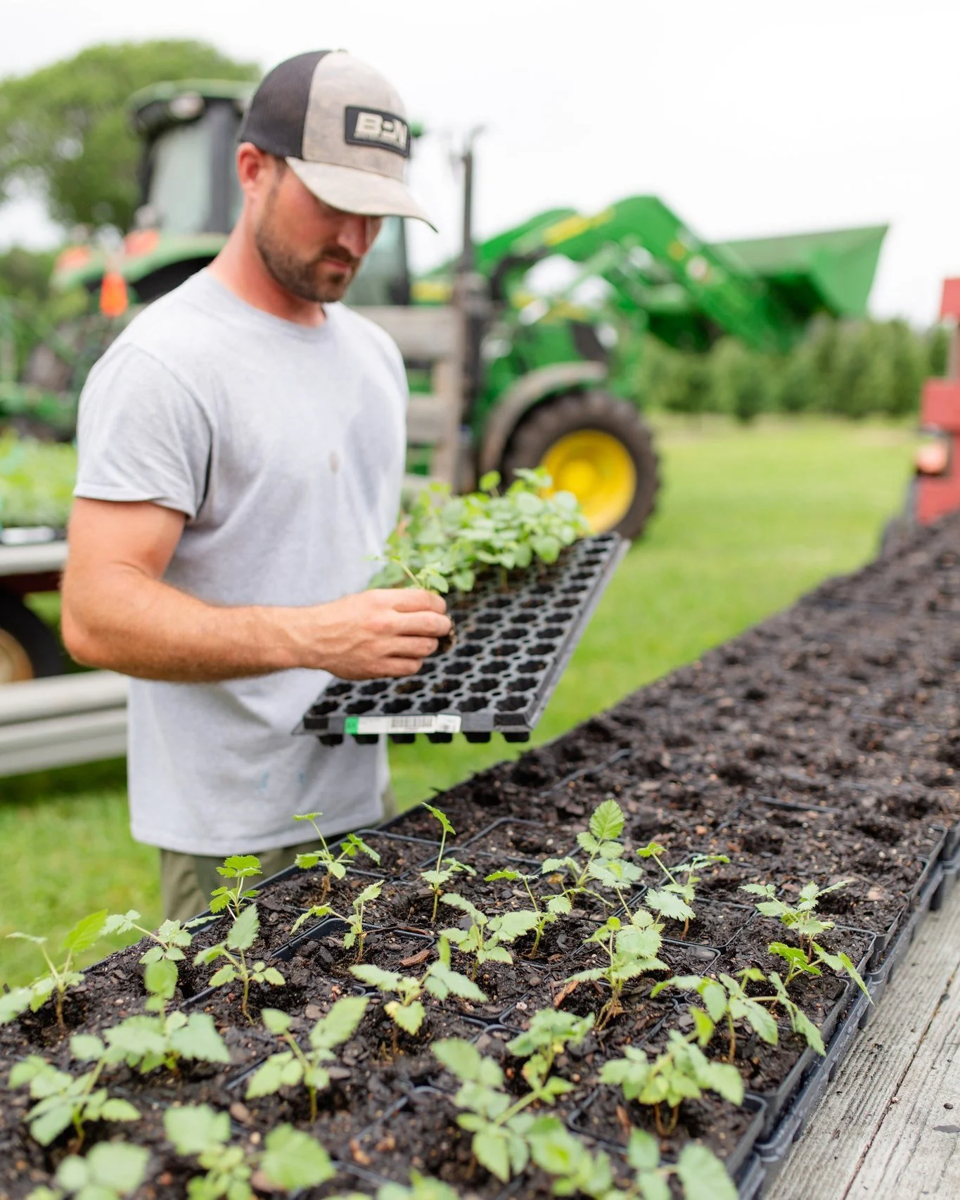 How it started 🌱➡️🫐

These photos take us back to the days of planting our first blackberry seedlings. It was hard work, a lot of planning, and a leap of faith, but we couldn't wait to see what the fields would become.

Now, as our first blackberry