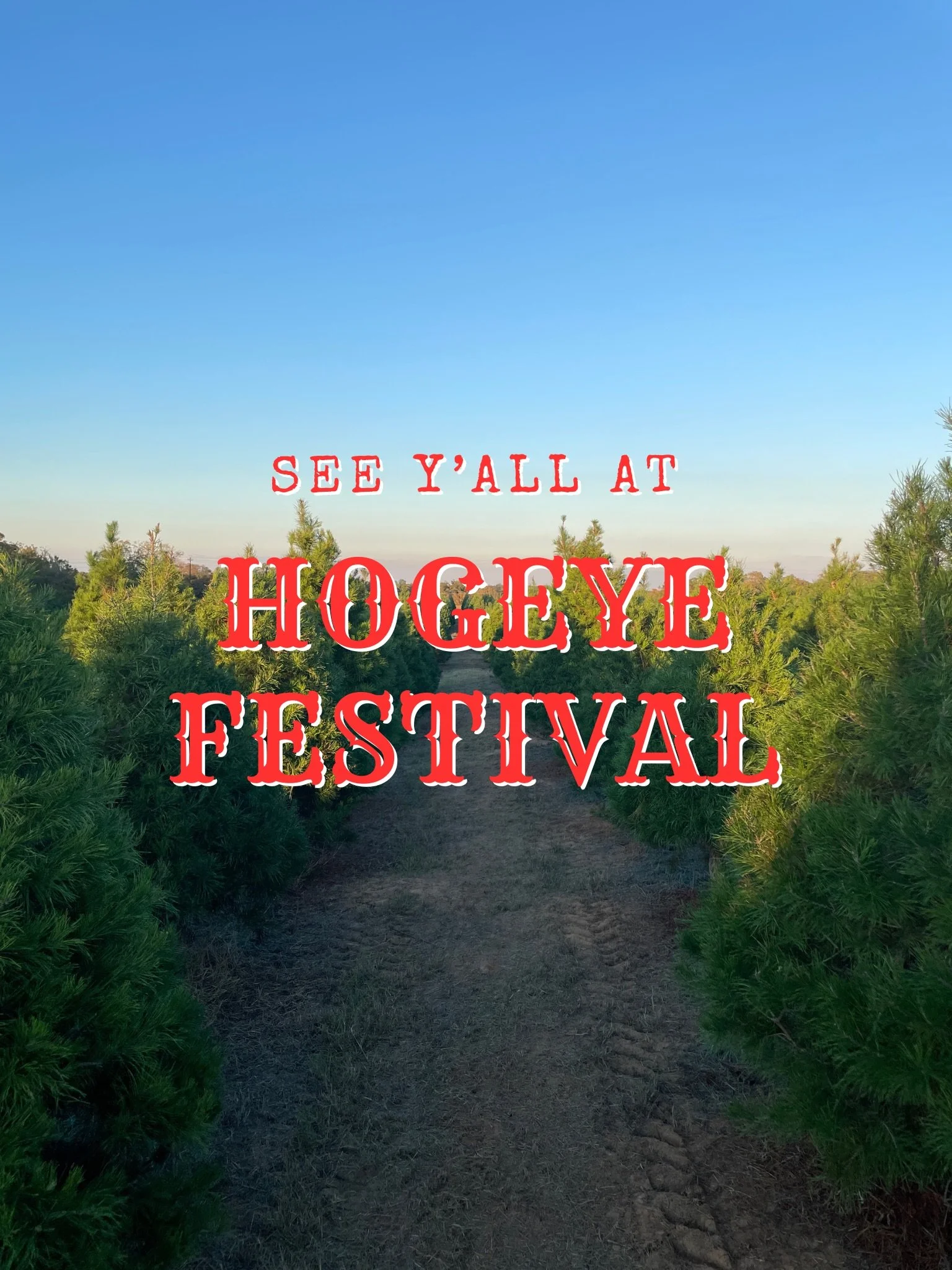 🤠🎄 See y&rsquo;all at the @hogeyefestival ! 🎃✨

Come say hi and visit us at our booth! We can&rsquo;t wait to see everyone, celebrate with the community, and share a little Christmas tree farm spirit with y&rsquo;all 🌲❤️

Who are we seeing today?