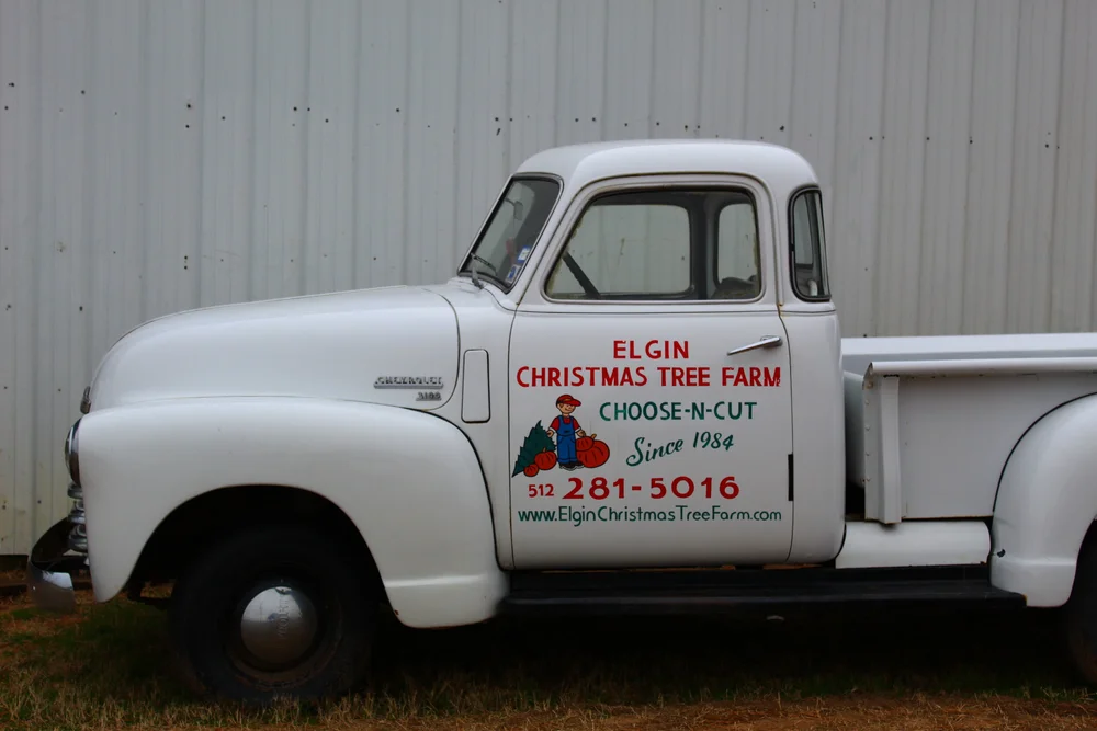 Gallery — Elgin CHRISTmas Tree Farm