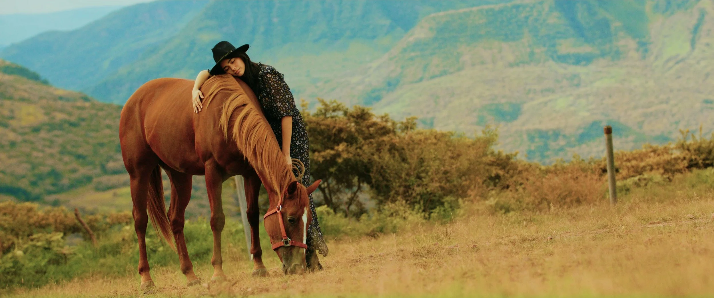 caballo.jpg